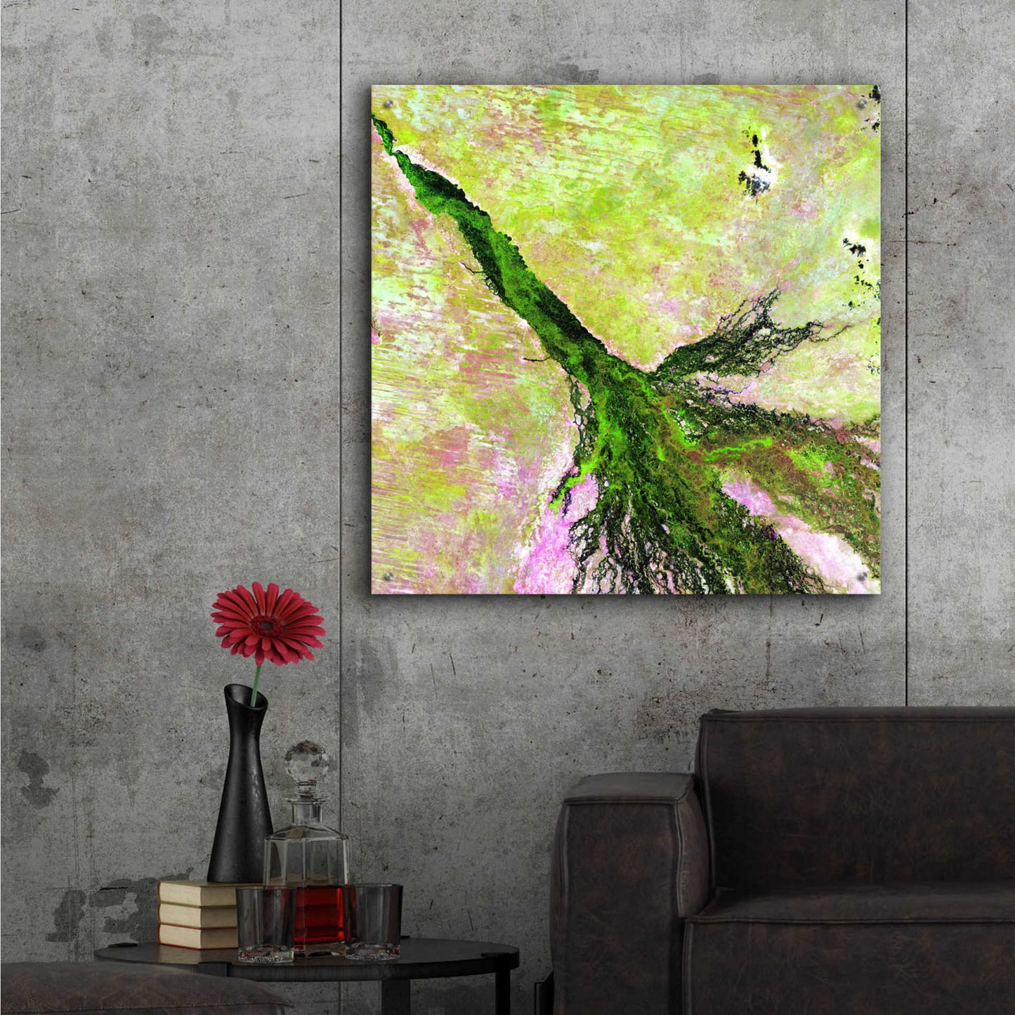 Epic Art 'Earth as Art: Okavango Delta,' Acrylic Glass Wall Art,36x36