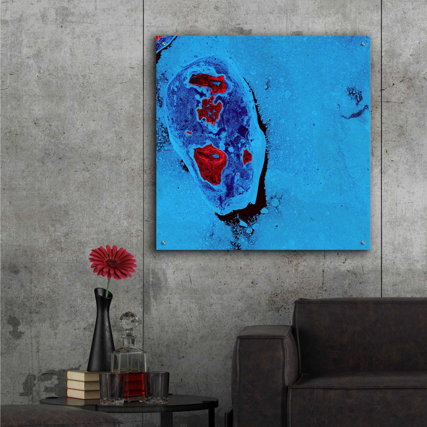 Epic Art 'Earth as Art: Cellular Ice,' Acrylic Glass Wall Art,36x36