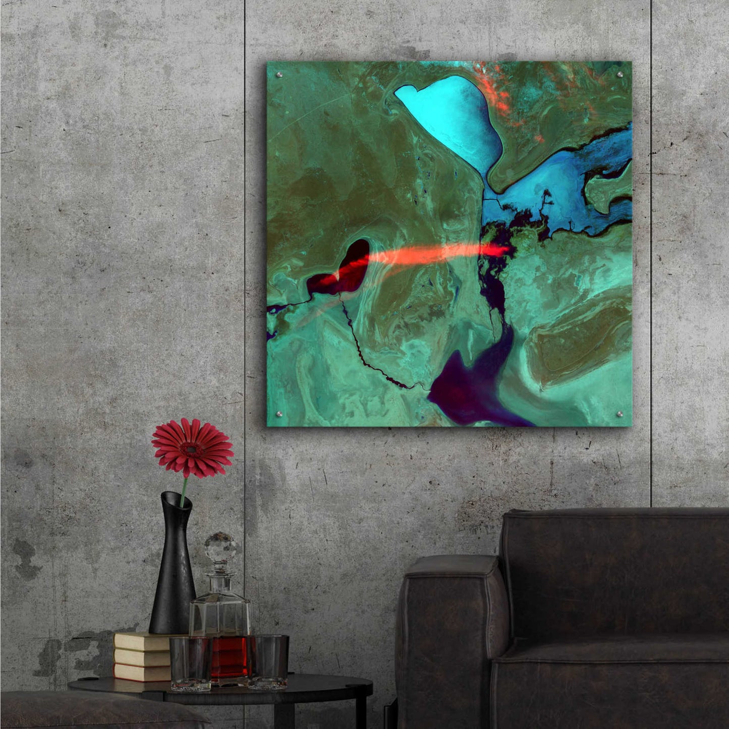 Epic Art 'Earth as Art: Bleeding Heart,' Acrylic Glass Wall Art,36x36