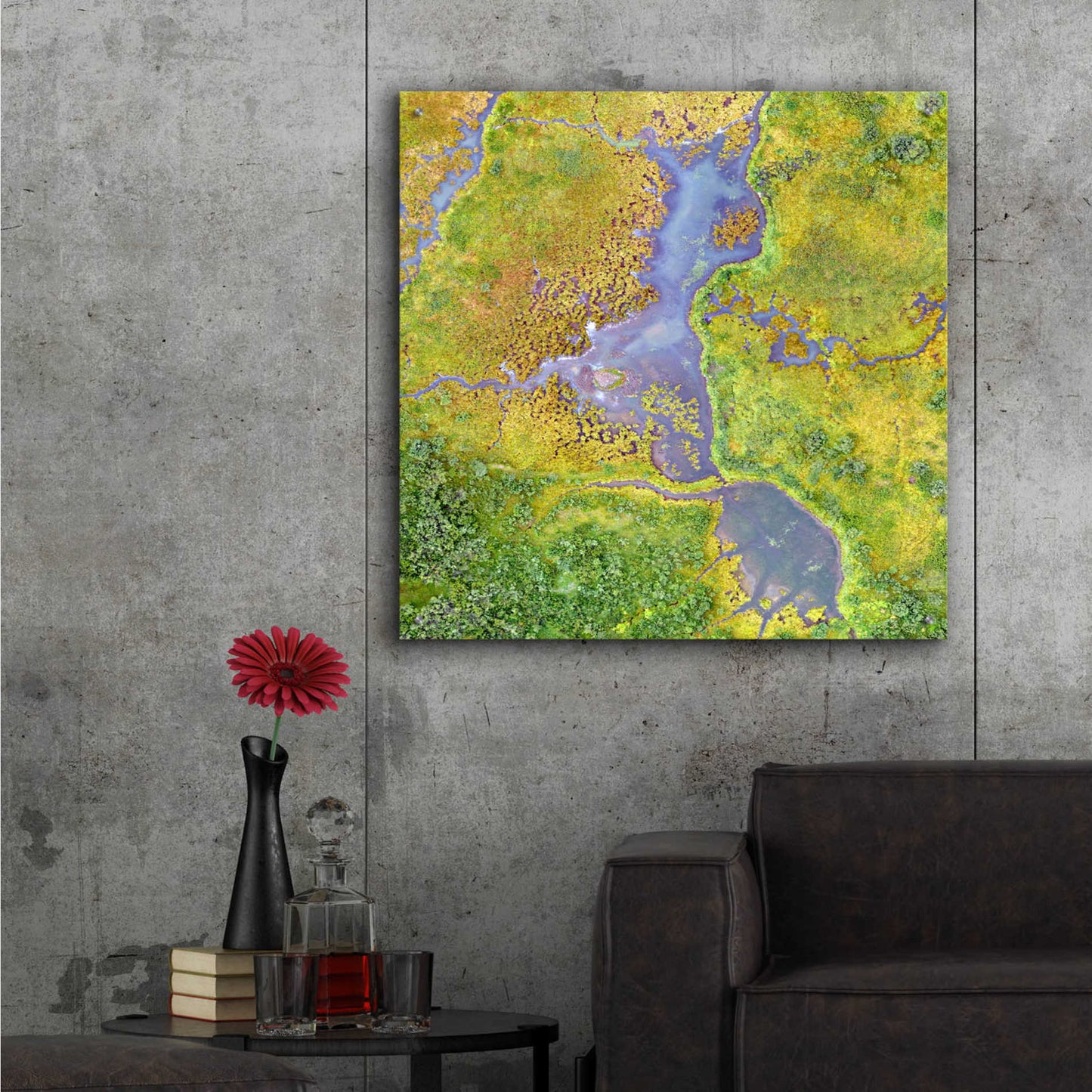 Epic Art 'Earth as Art: Watching Wetlands,' Acrylic Glass Wall Art,36x36