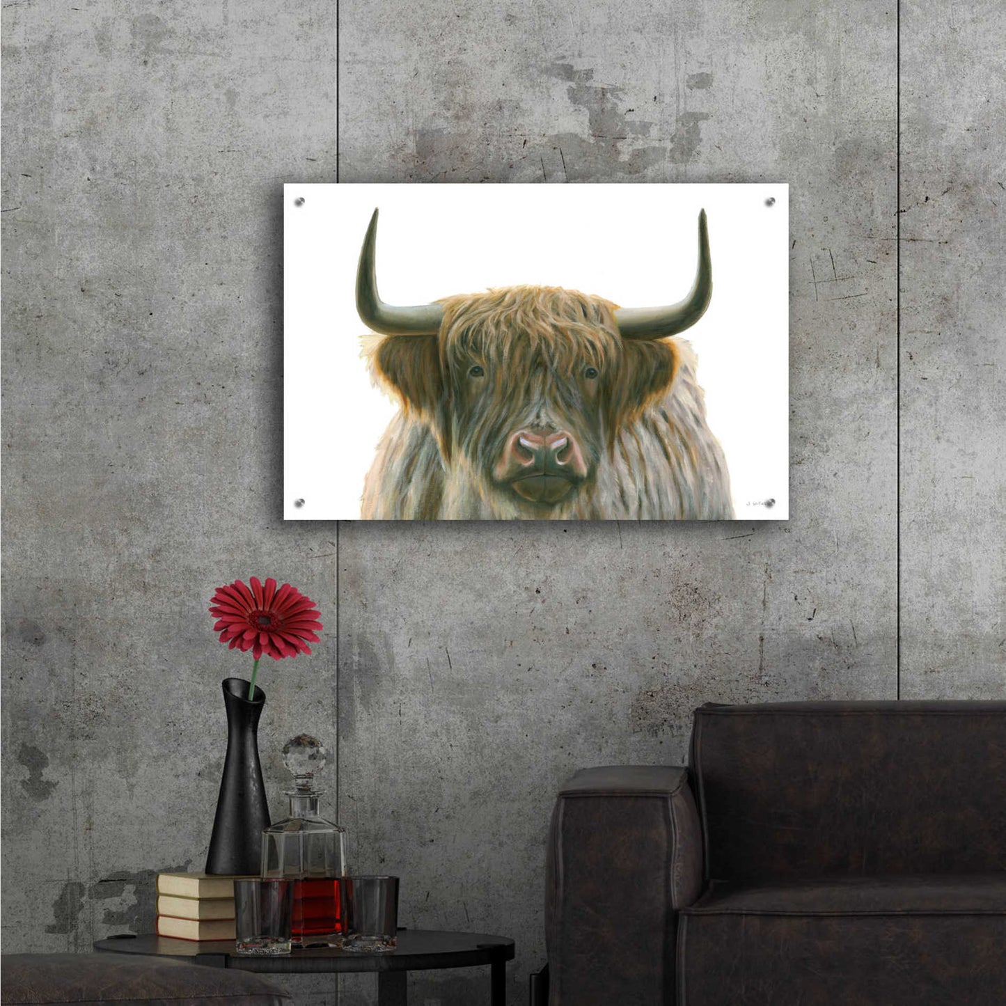 Epic Art 'Highlander' by James Wiens, Acrylic Glass Wall Art,36x24