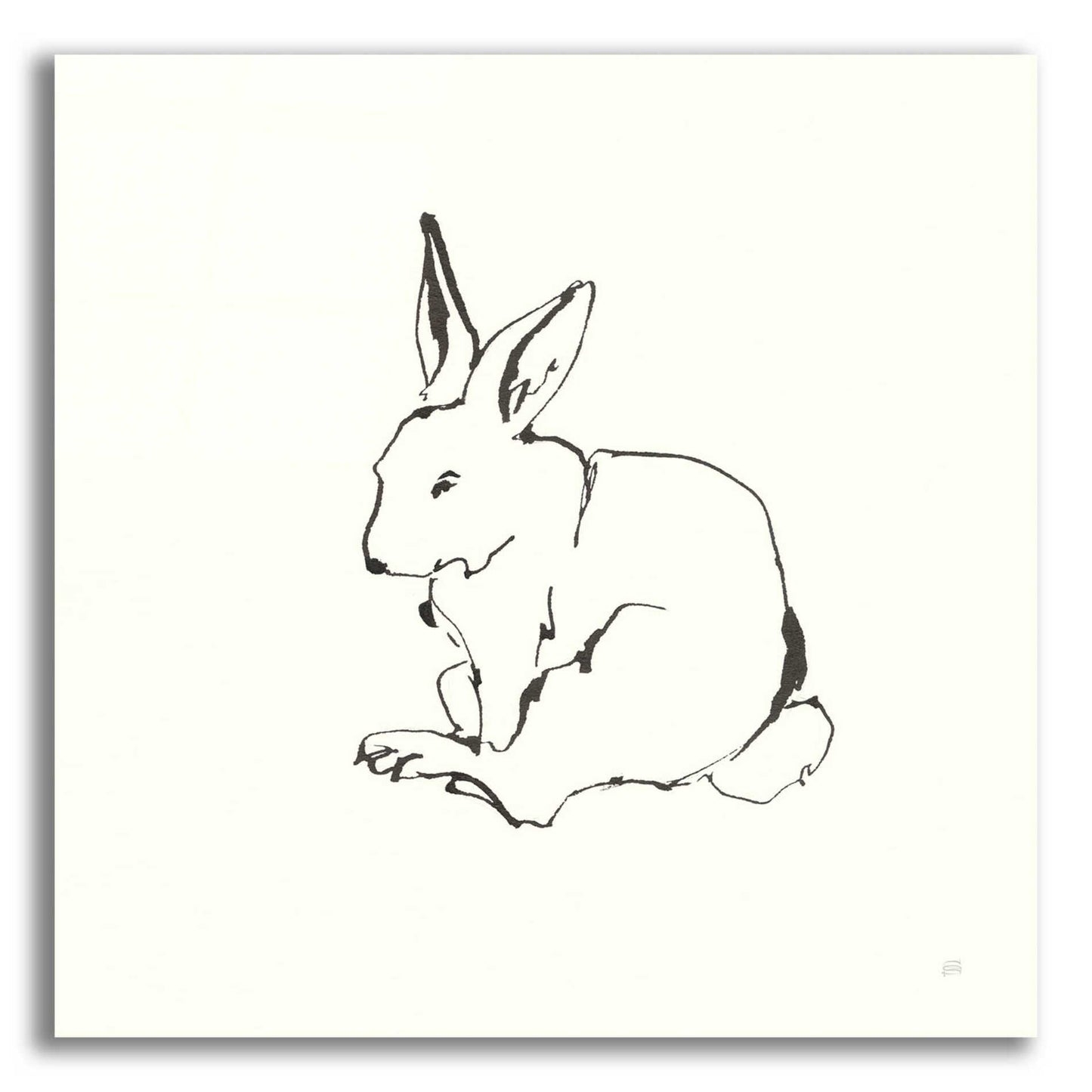 Epic Art 'Line Bunny I' by Chris Paschke, Acrylic Glass Wall Art,36x36