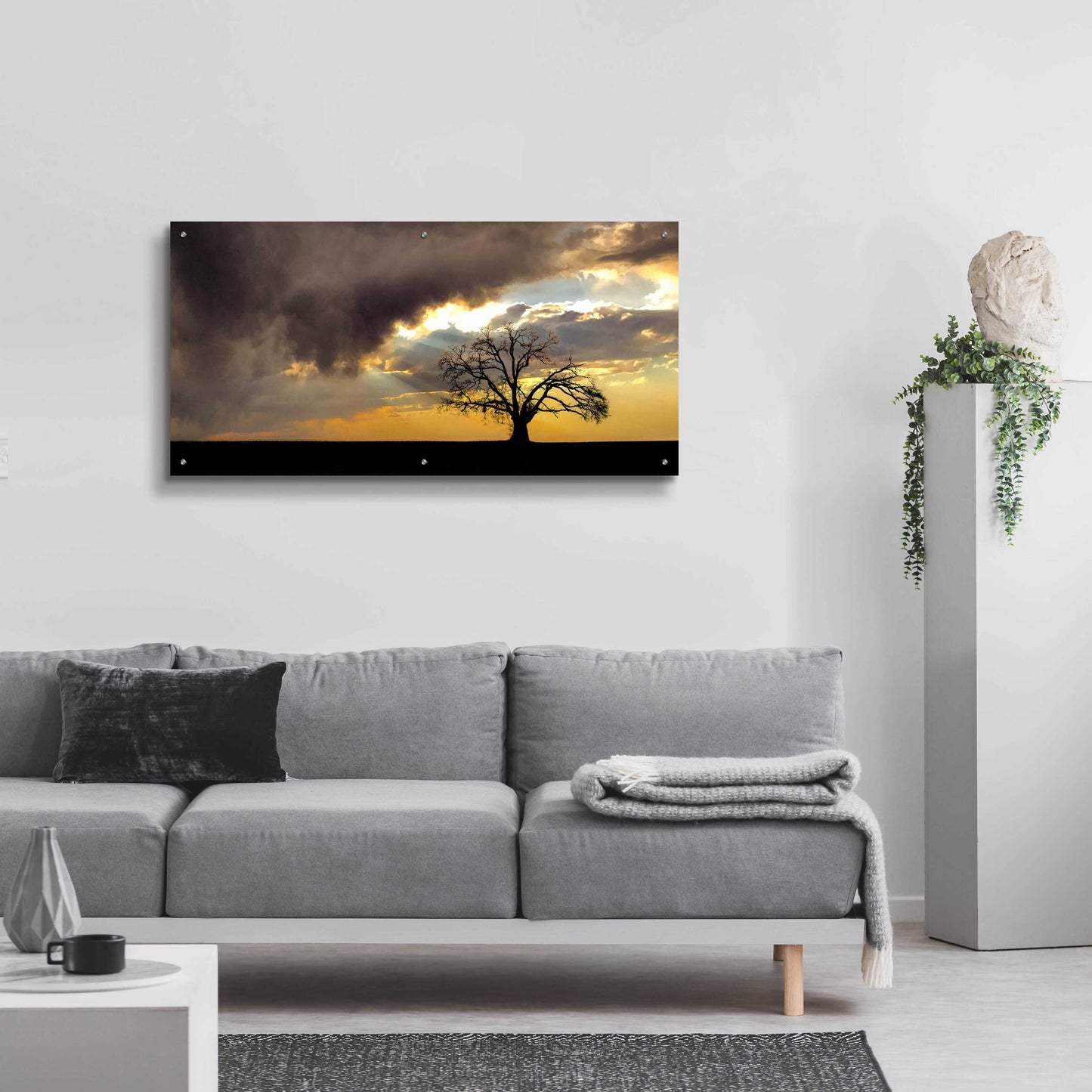 Epic Art 'Lone Tree In The Morning Light' by Don Schwartz, Acrylic Glass Wall Art,48x24