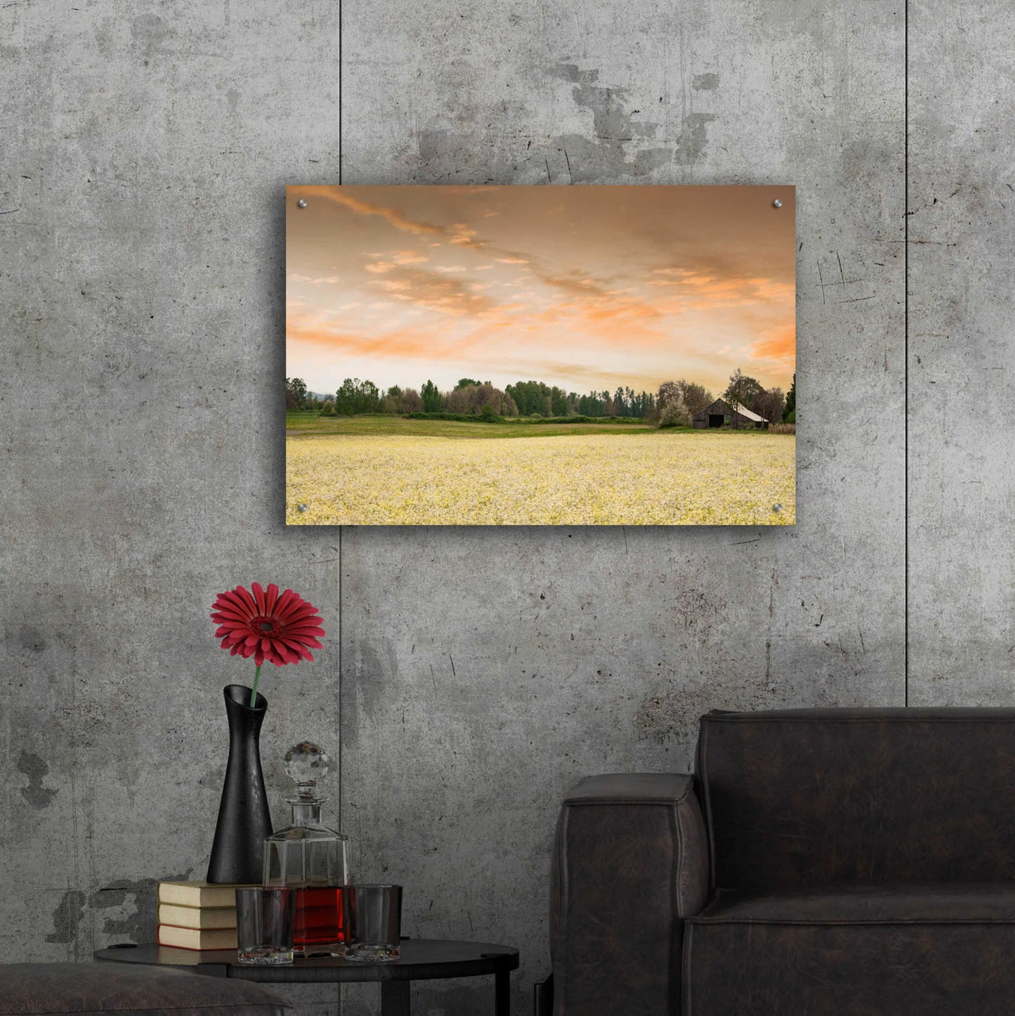 Epic Art 'Barn In The Field Of Spring Flowers' by Don Schwartz, Acrylic Glass Wall Art,36x24