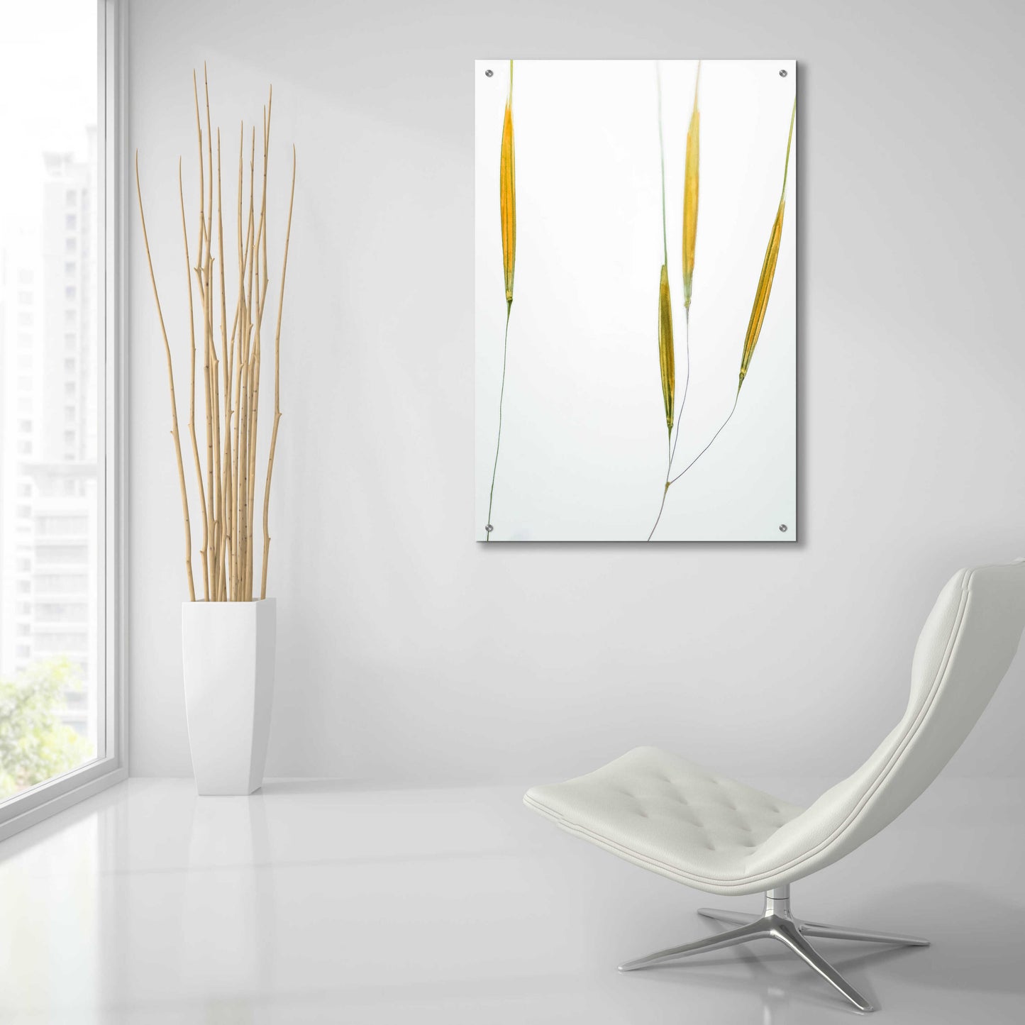 Epic Art 'Delicate Grasses' by Don Schwartz, Acrylic Glass Wall Art,24x36