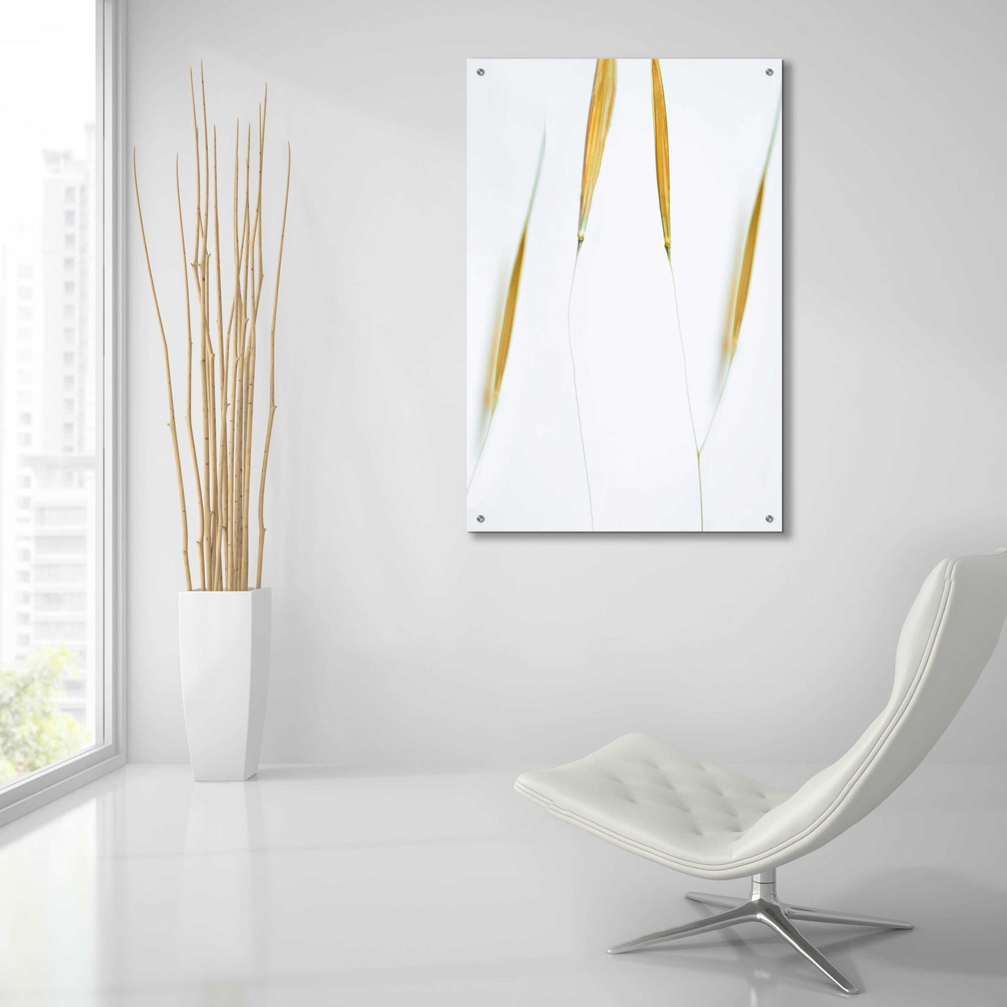 Epic Art 'So Delicate' by Don Schwartz, Acrylic Glass Wall Art,24x36