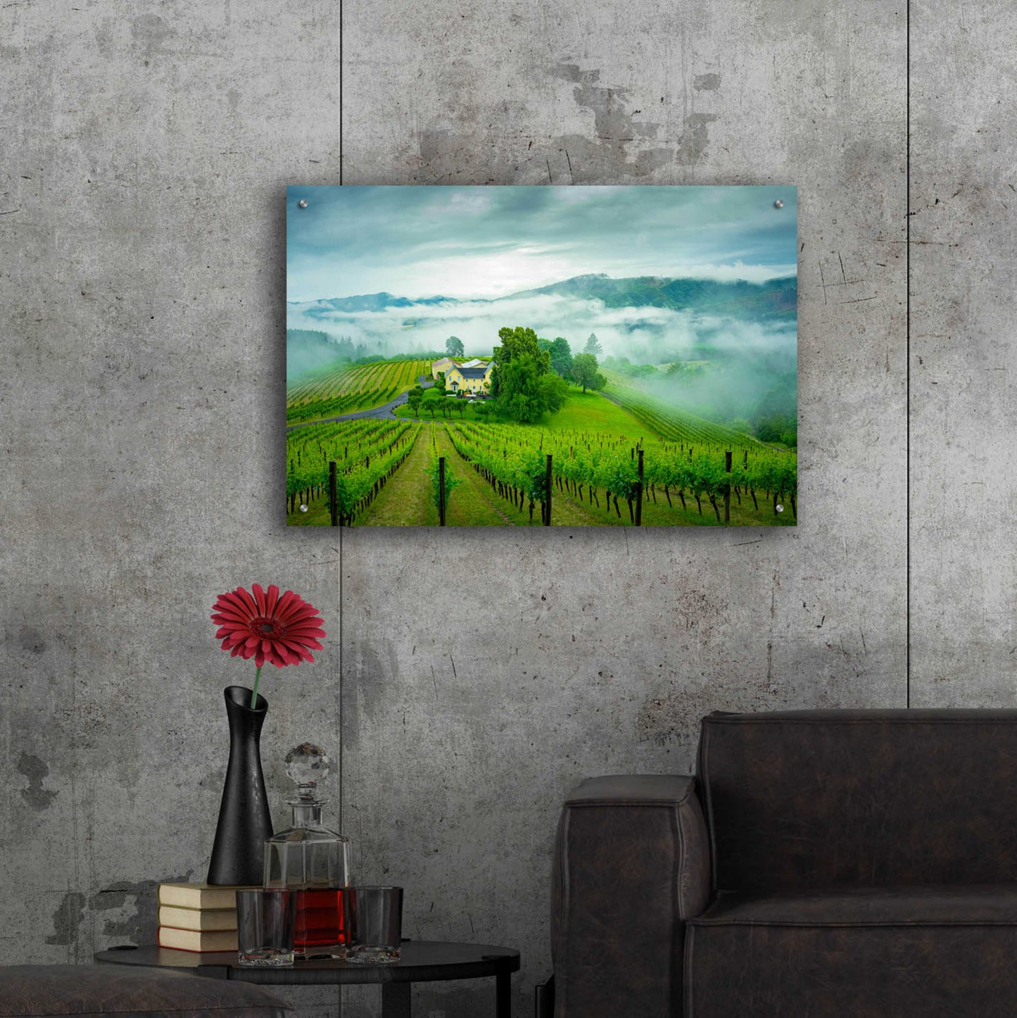 Epic Art 'Vineyard In The Mist' by Don Schwartz, Acrylic Glass Wall Art,36x24