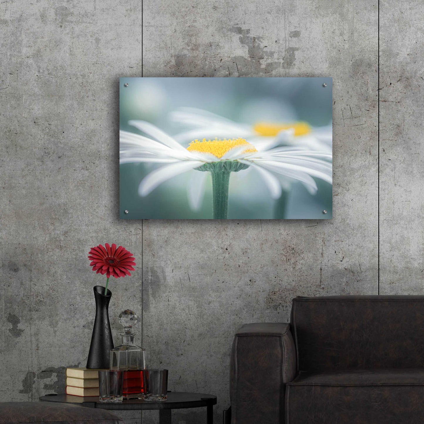 Epic Art 'Two Daisies' by Don Schwartz, Acrylic Glass Wall Art,36x24