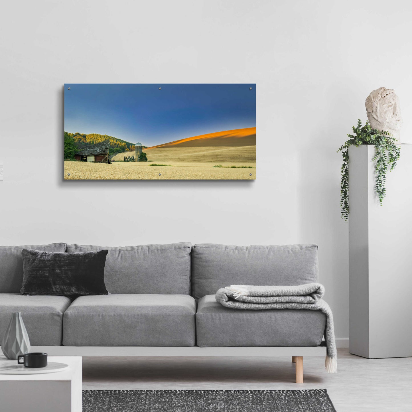 Epic Art 'Old Barn And Silo' by Don Schwartz, Acrylic Glass Wall Art,48x24