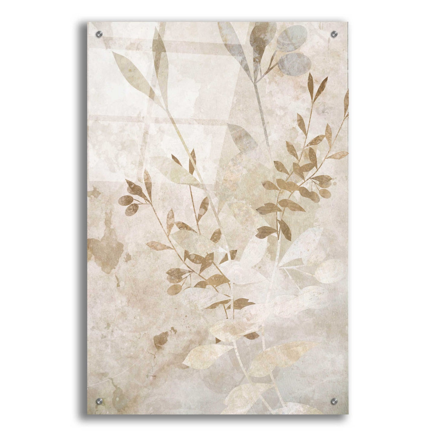 Epic Art 'Nature Wall 2' by Karen Smith Acrylic Glass Wall Art,24x36