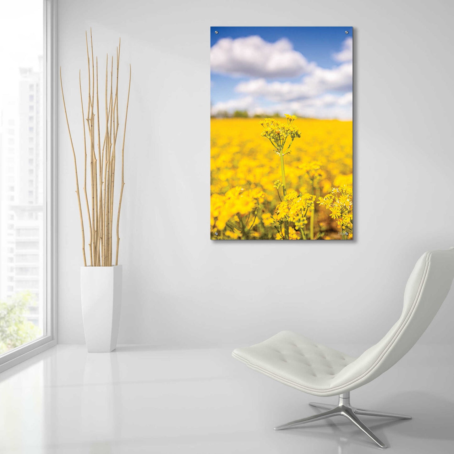 Epic Art 'Field Of Yellow III' by Donnie Quillen, Acrylic Glass Wall Art,24x36
