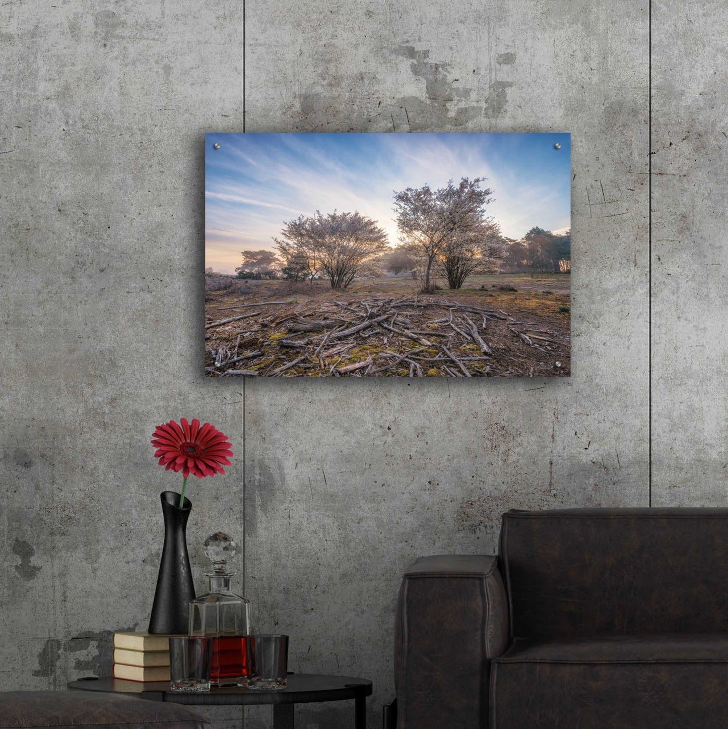 Epic Art 'Spring Bushes at Sunrise' by Martin Podt, Acrylic Glass Wall Art,36x24