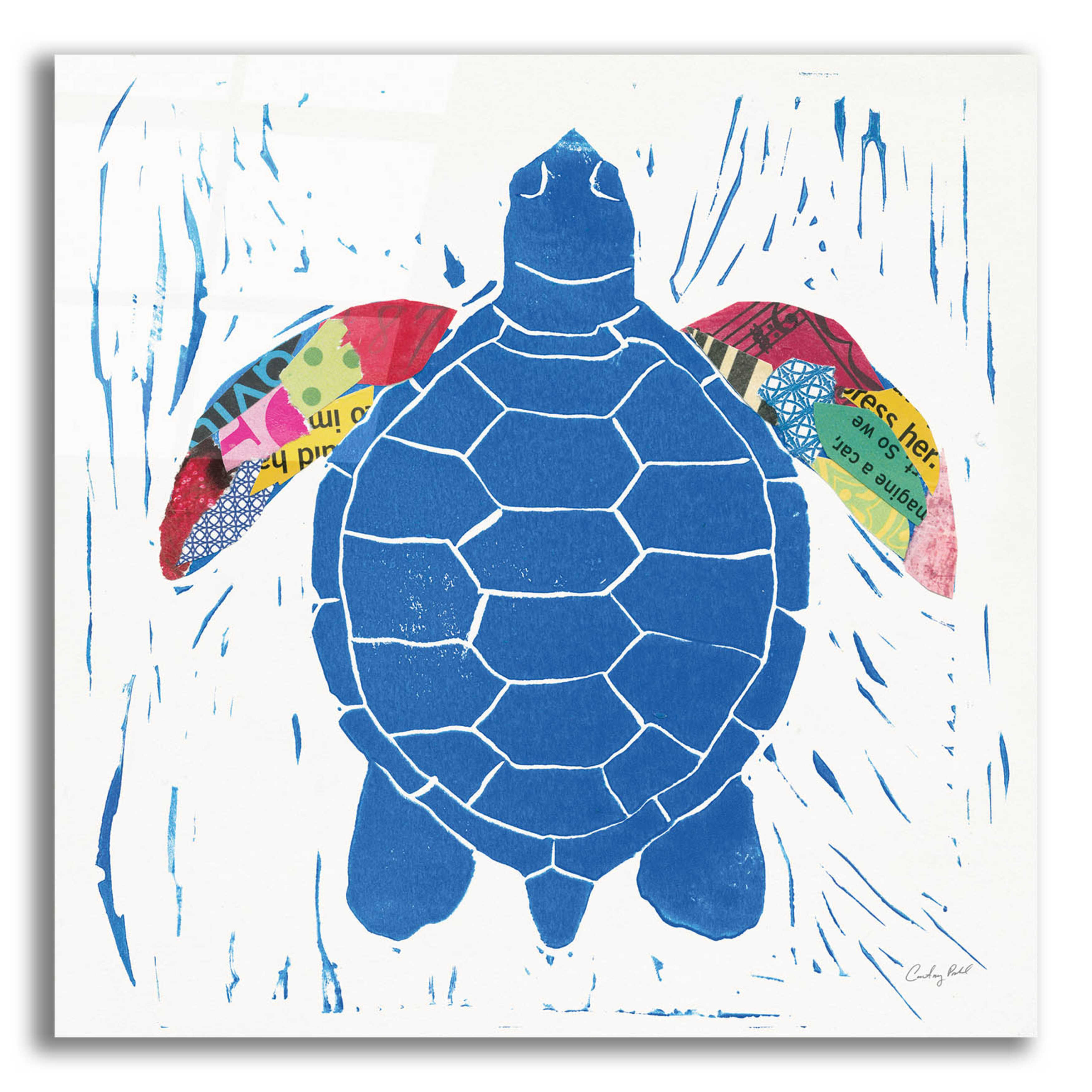 Epic Art 'Sea Creature Turtle Color' by Courtney Prahl, Acrylic Glass