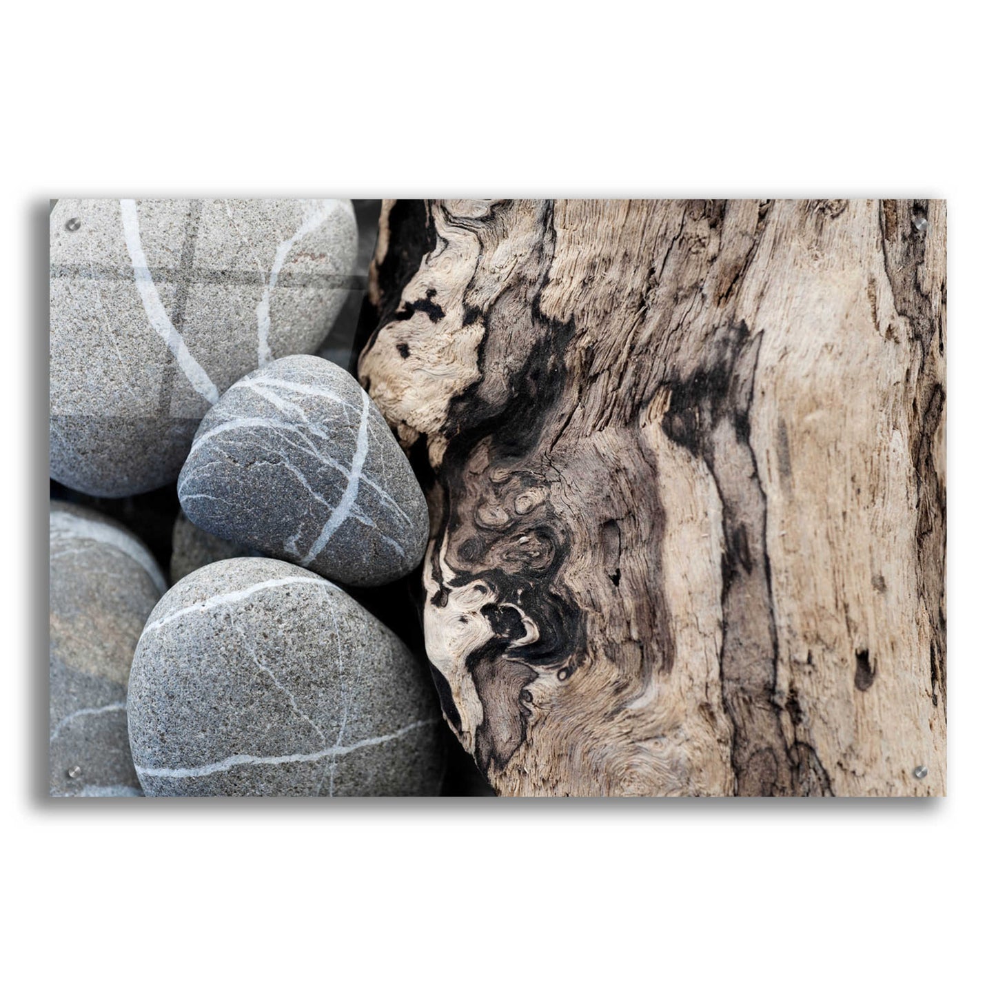 Epic Art 'Dirftwood and Beach Stones' by Elena Ray, Acrylic Glass Wall Art