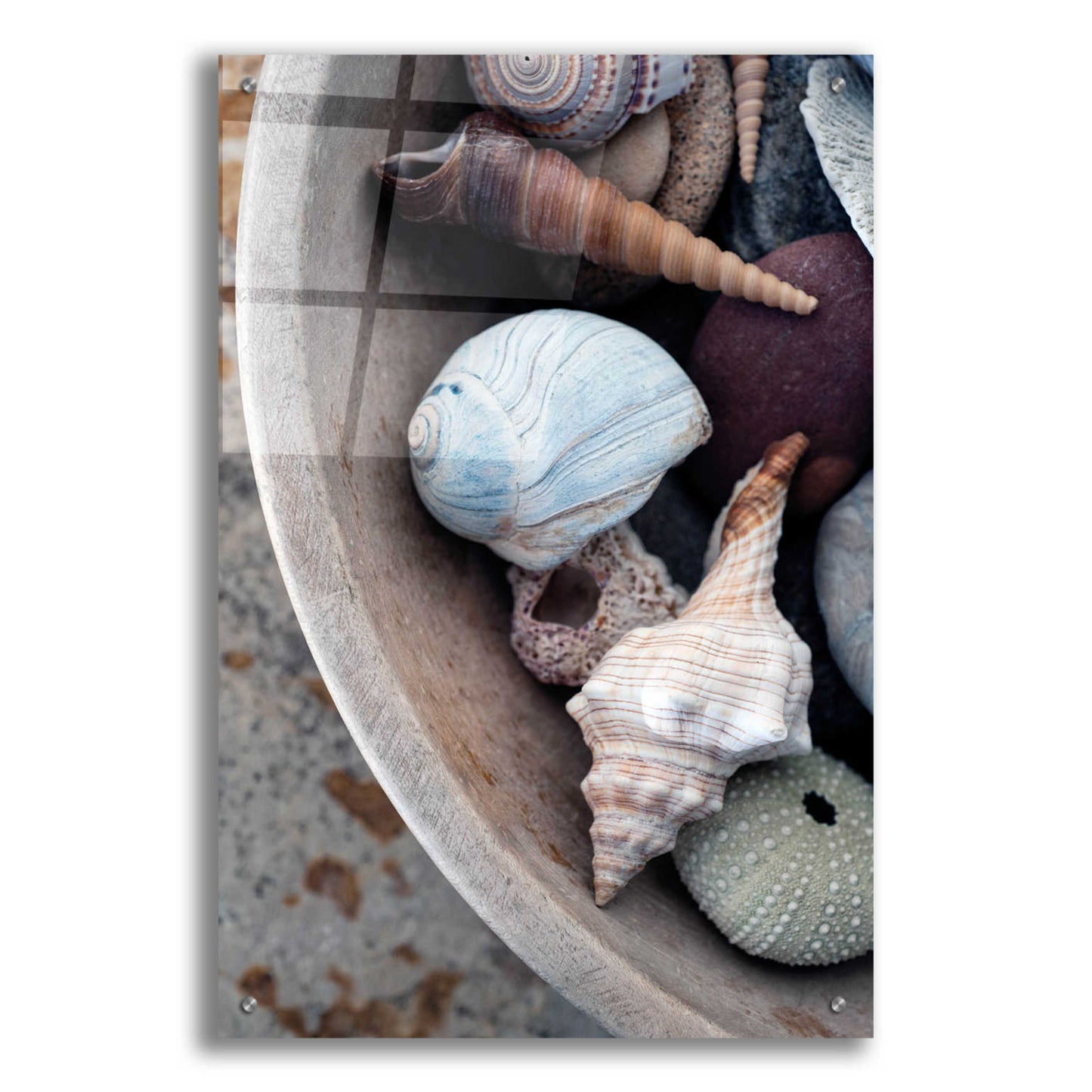 Epic Art 'Beachcomber Collection' by Elena Ray, Acrylic Glass Wall Art