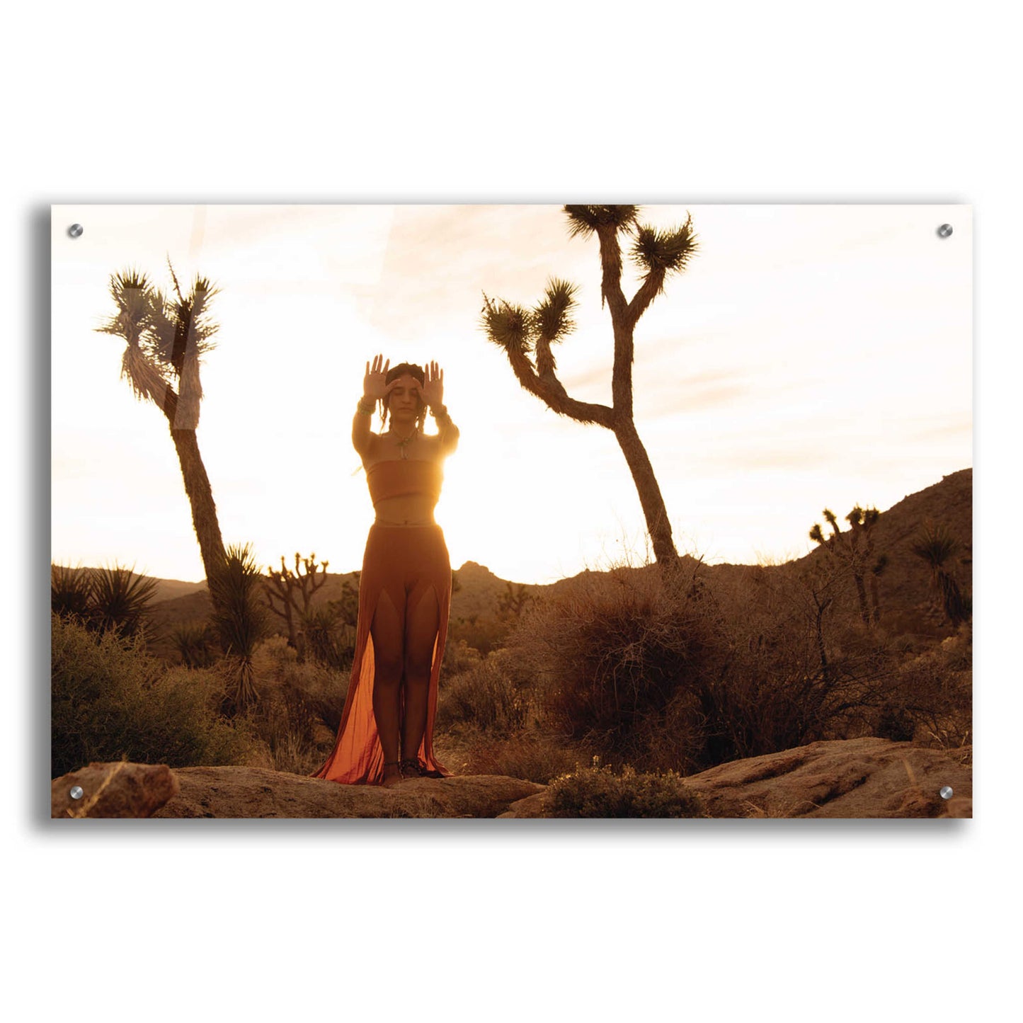 Epic Art 'Desert Priestess' by Elena Ray, Acrylic Glass Wall Art