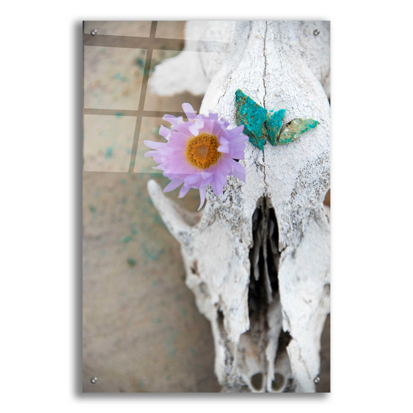 Epic Art 'Coyote Shaman' by Elena Ray, Acrylic Glass Wall Art