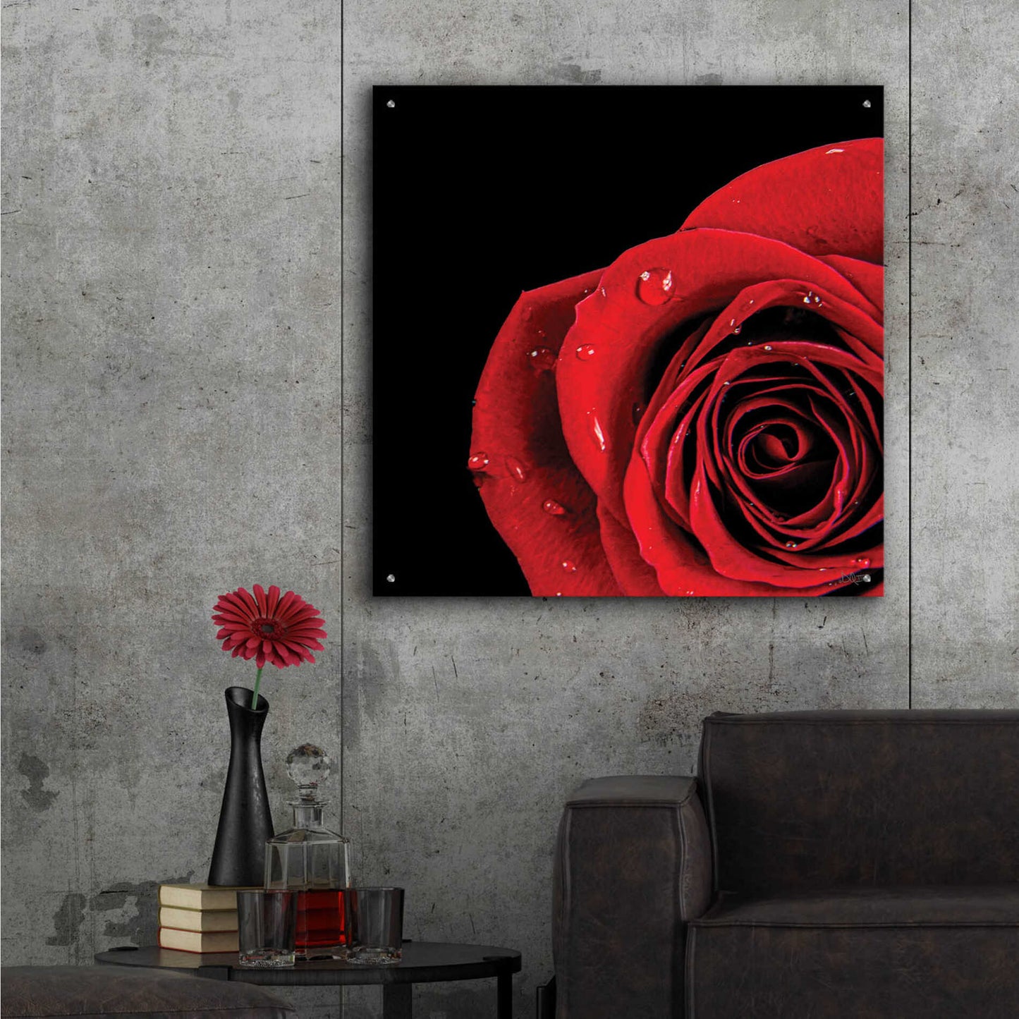 Epic Art 'Pop of Red Rose' by Donnie Quillen, Acrylic Glass Wall Art,36x36
