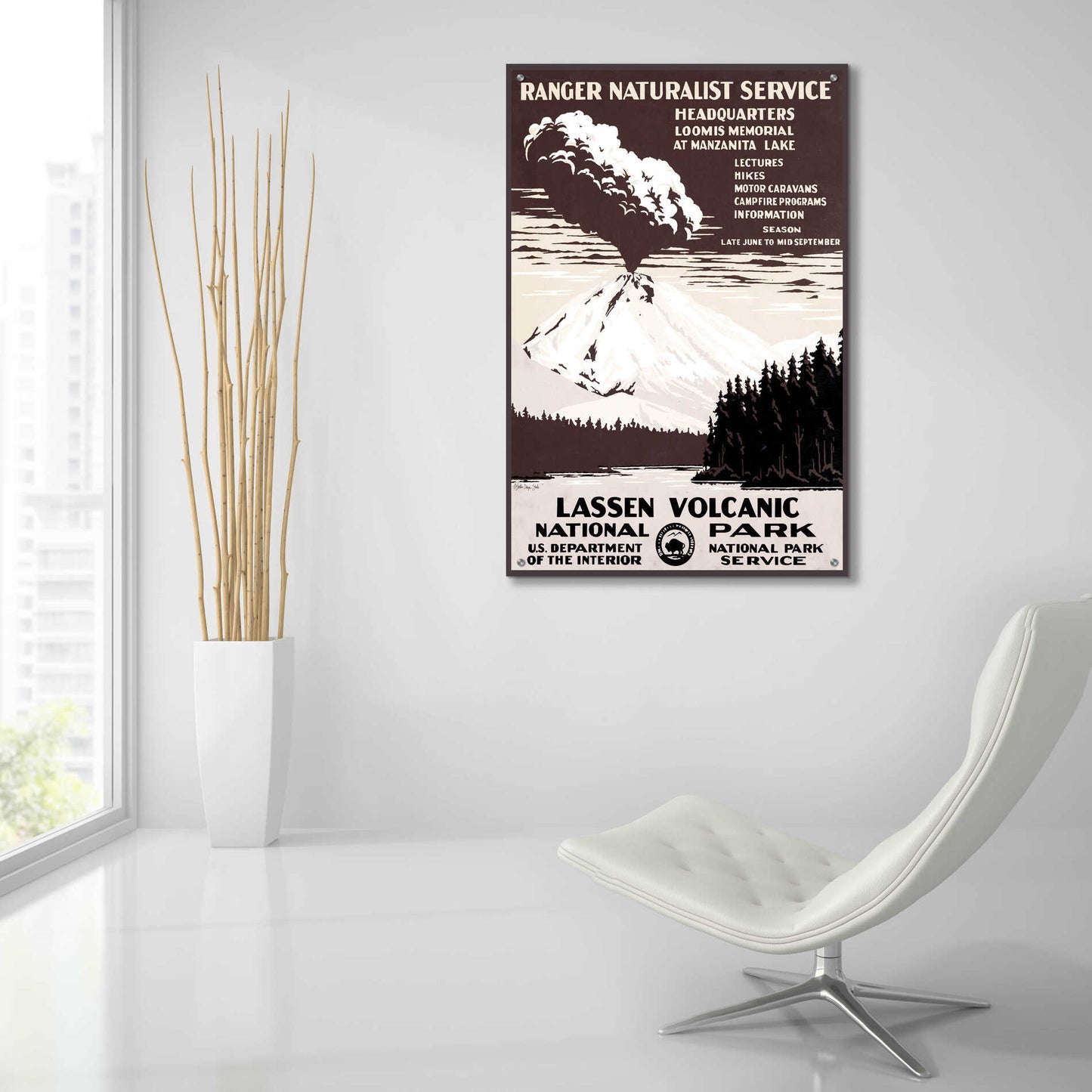 Epic Art 'Lessen Volcanic Park' by Stellar Design Studio, Acrylic Glass Wall Art,24x36