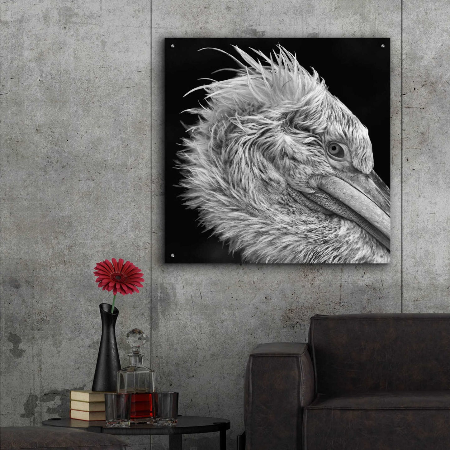 Epic Art 'Bad Hairday' by Epic Portfolio Acrylic Glass Wall Art,36x36