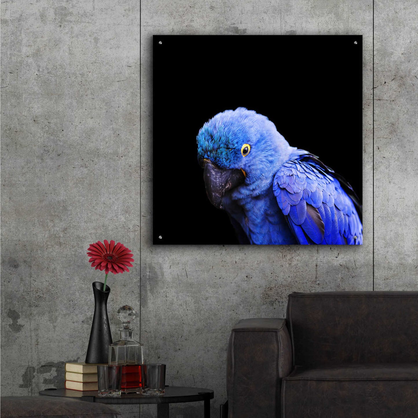 Epic Art 'Blue Quill' by Epic Portfolio Acrylic Glass Wall Art,36x36