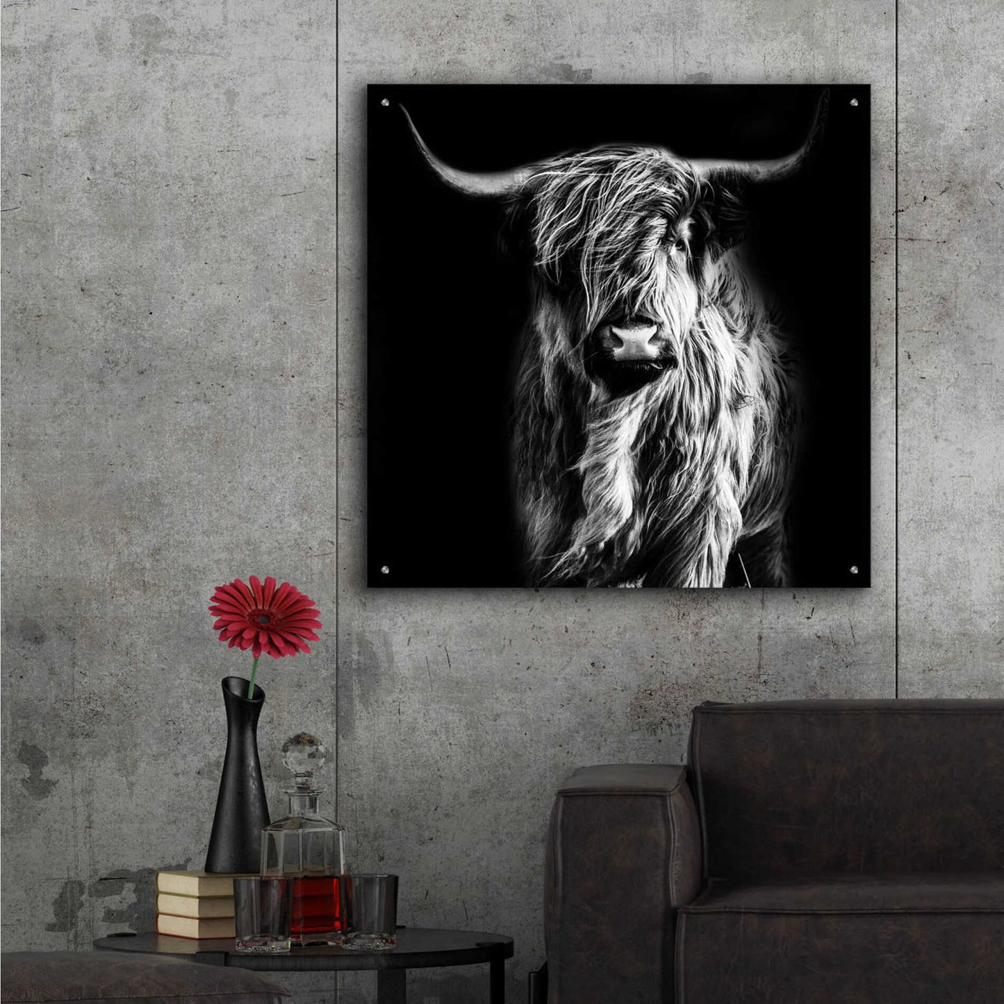 Epic Art 'Hippy Highland Cow' by Epic Portfolio Acrylic Glass Wall Art,36x36