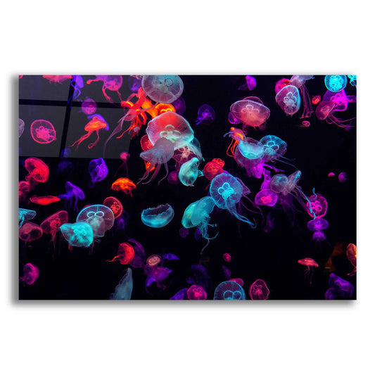 Epic Art 'Jelly Fish World' by Epic Portfolio Acrylic Glass Wall Art