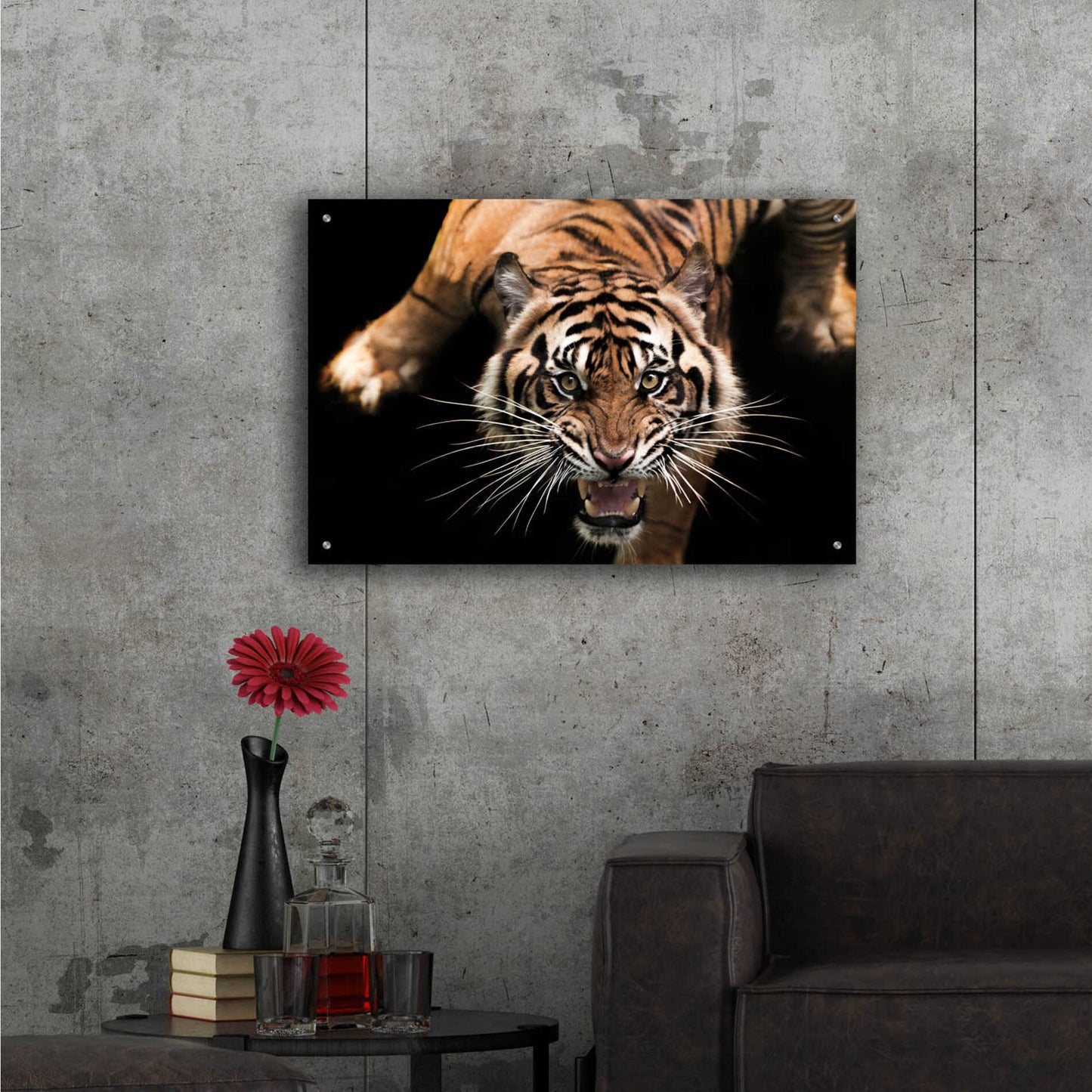 Epic Art 'Nice Kitty' by Epic Portfolio Acrylic Glass Wall Art,36x24