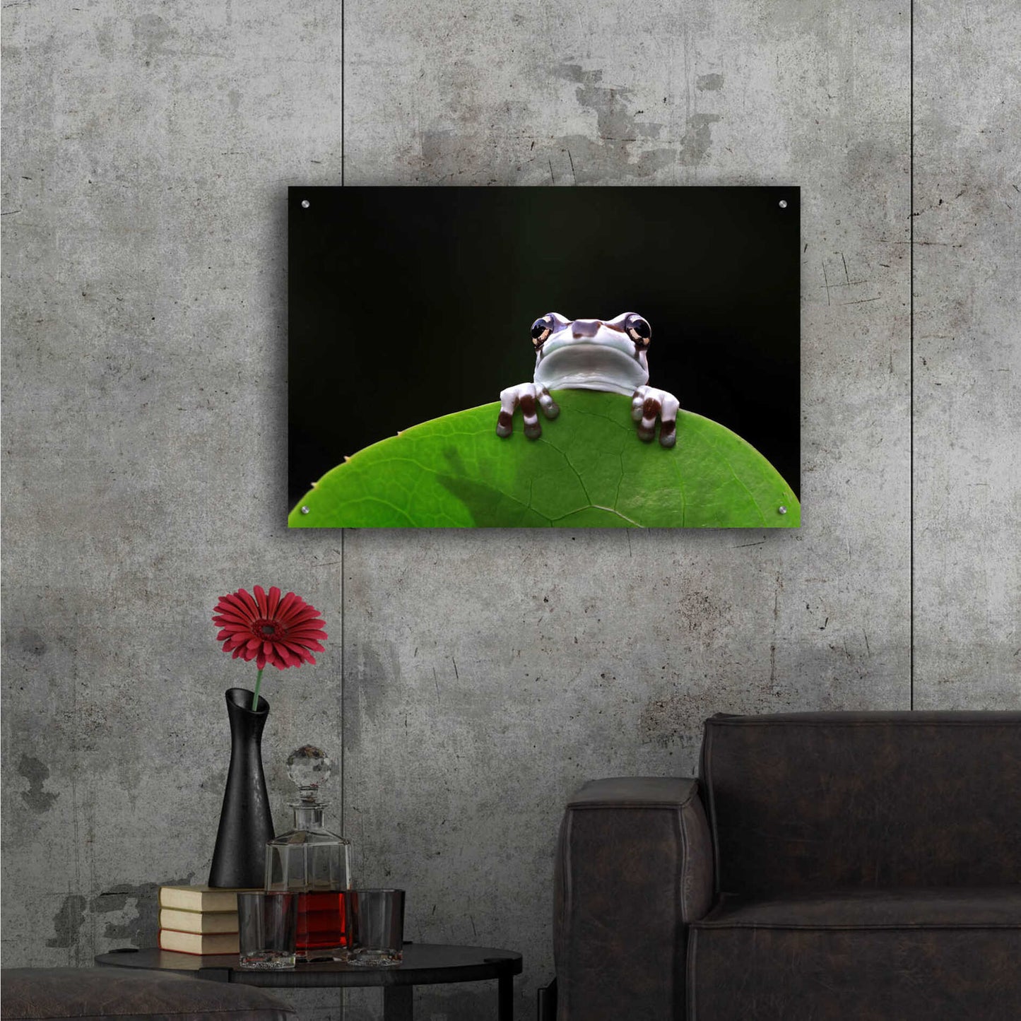 Epic Art 'Peekaboo' by Epic Portfolio Acrylic Glass Wall Art,36x24