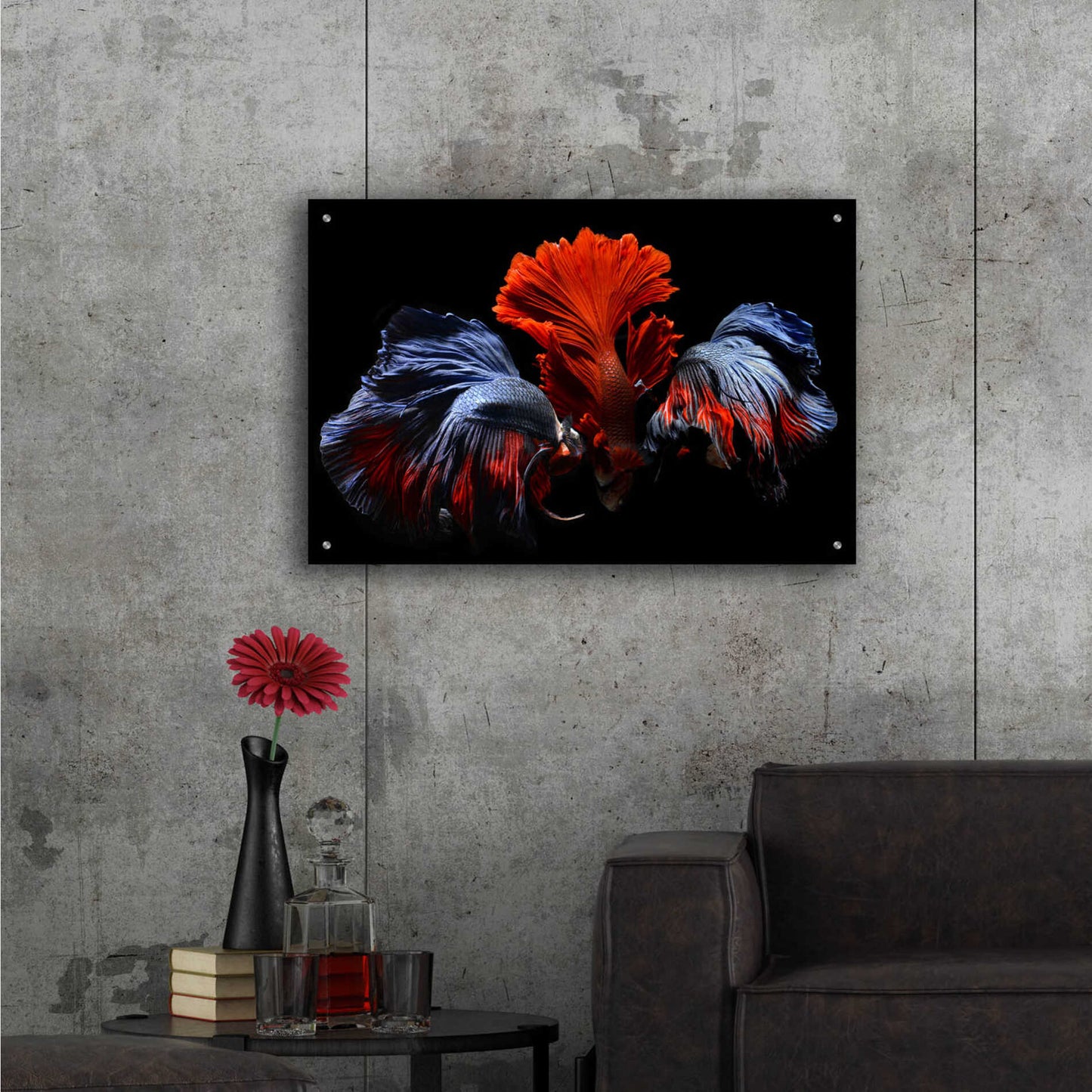 Epic Art 'Siamese Fighting Fish' by Epic Portfolio Acrylic Glass Wall Art,36x24