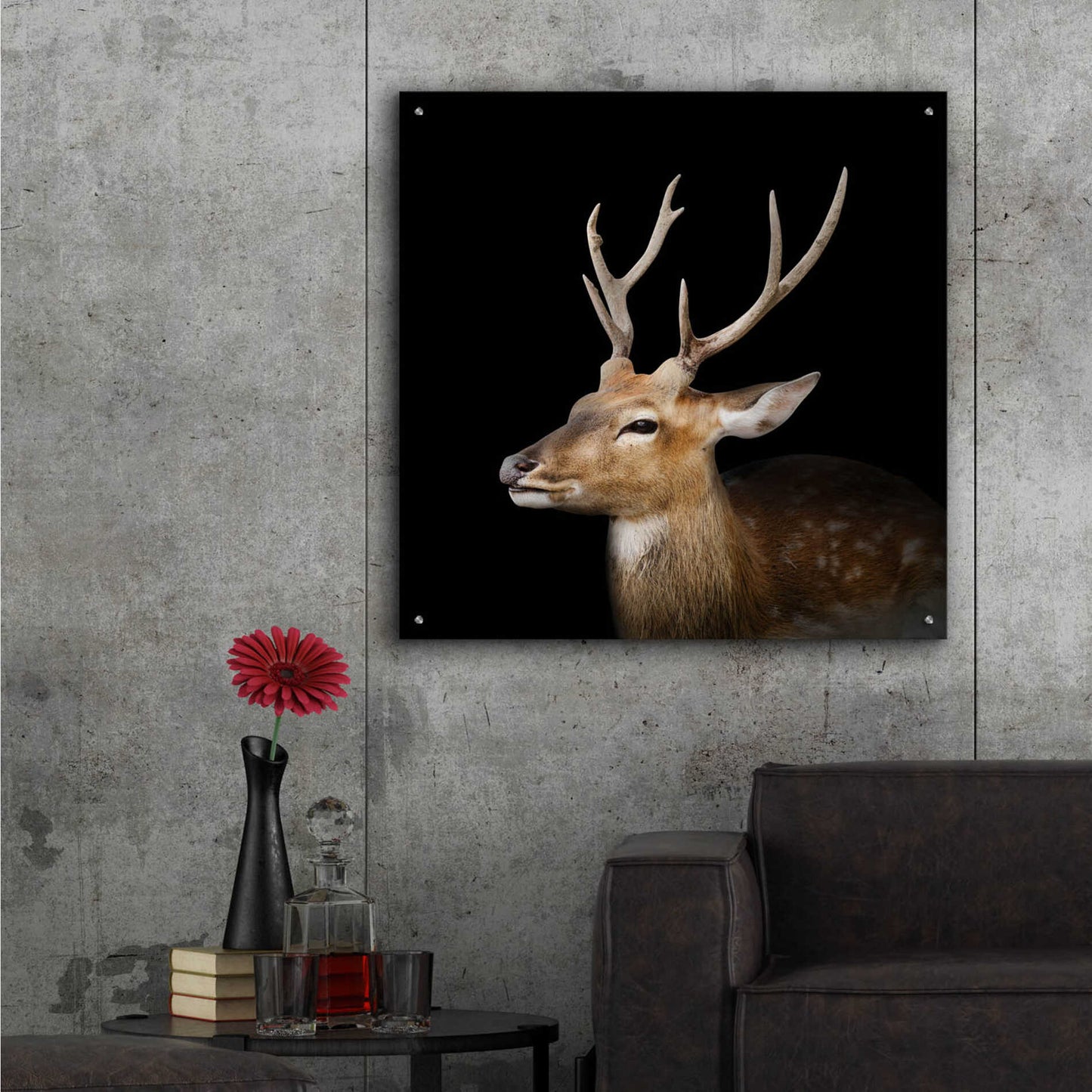 Epic Art 'Sika Deer' by Epic Portfolio Acrylic Glass Wall Art,36x36