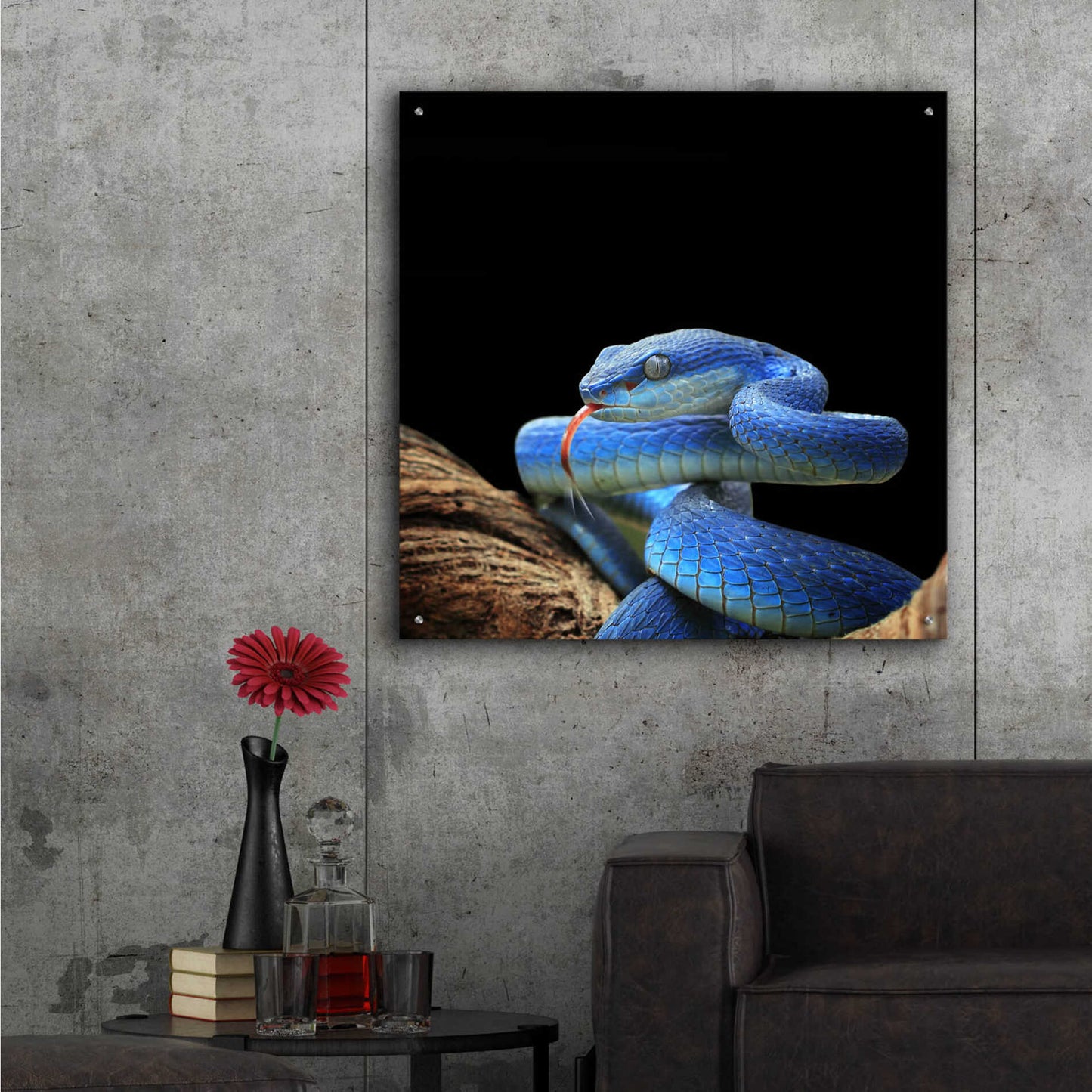 Epic Art 'Slithering Cobalt' by Epic Portfolio Acrylic Glass Wall Art,36x36