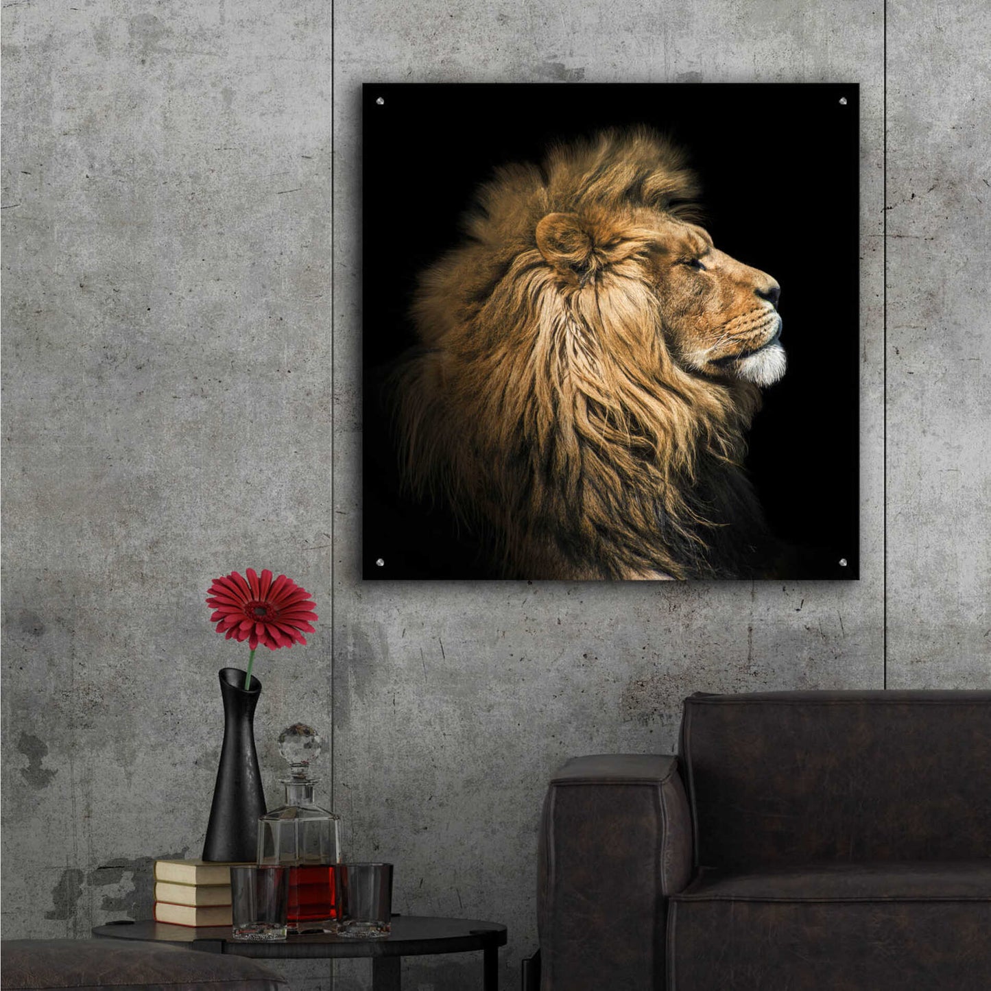 Epic Art 'The King Of The Jungle' by Epic Portfolio Acrylic Glass Wall Art,36x36
