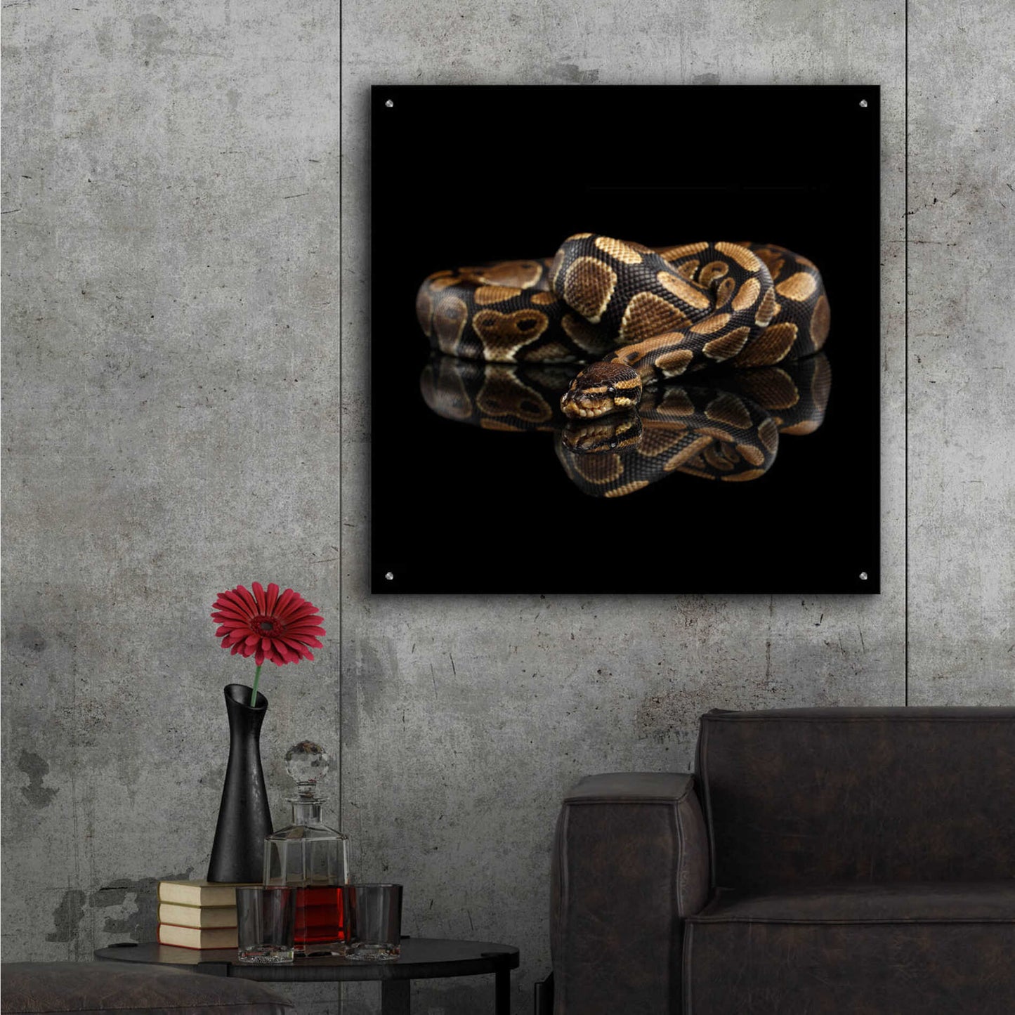 Epic Art 'Twisted' by Epic Portfolio Acrylic Glass Wall Art,36x36