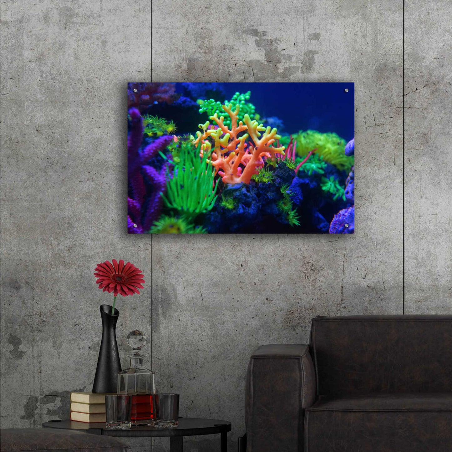 Epic Art 'Underwater Amazons' by Epic Portfolio Acrylic Glass Wall Art,36x24