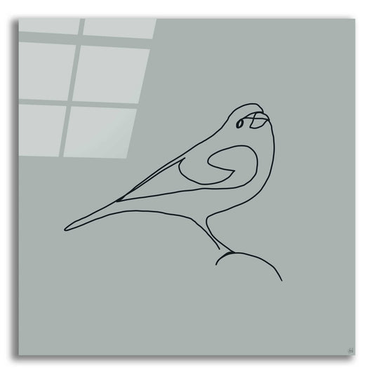 Epic Art 'Line Bird 1' by Line and Brush, Acrylic Glass Wall Art