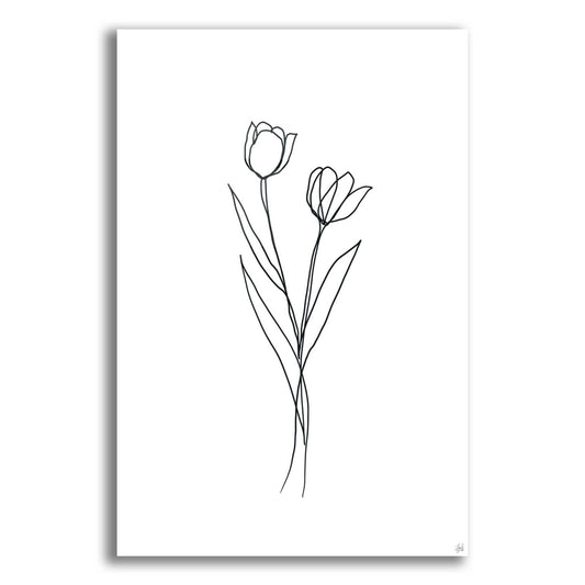 Epic Art 'Line Tulips 1' by Line and Brush, Acrylic Glass Wall Art