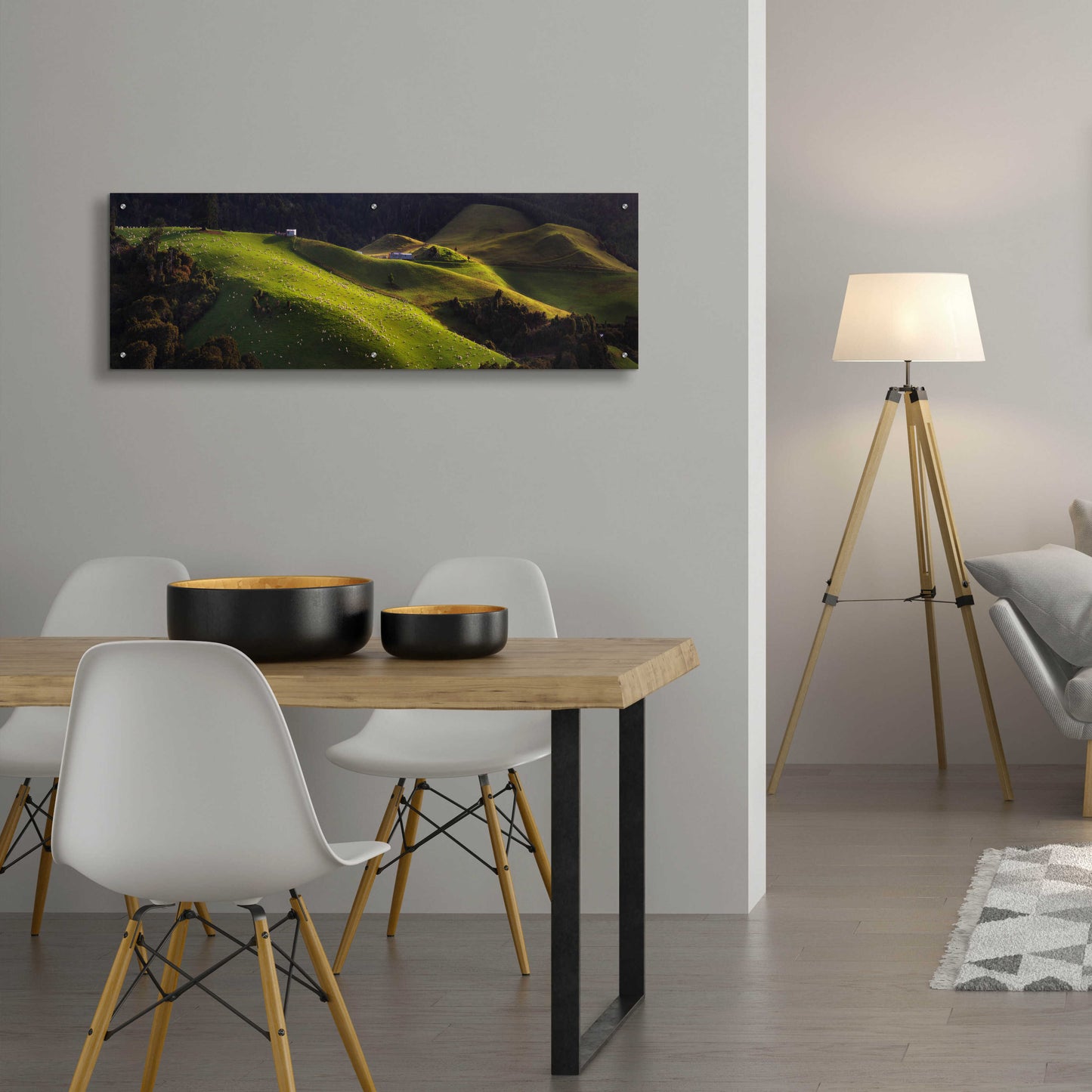 Epic Art 'Catlins' by Everlook Photography, Acrylic Glass Wall Art,48x16