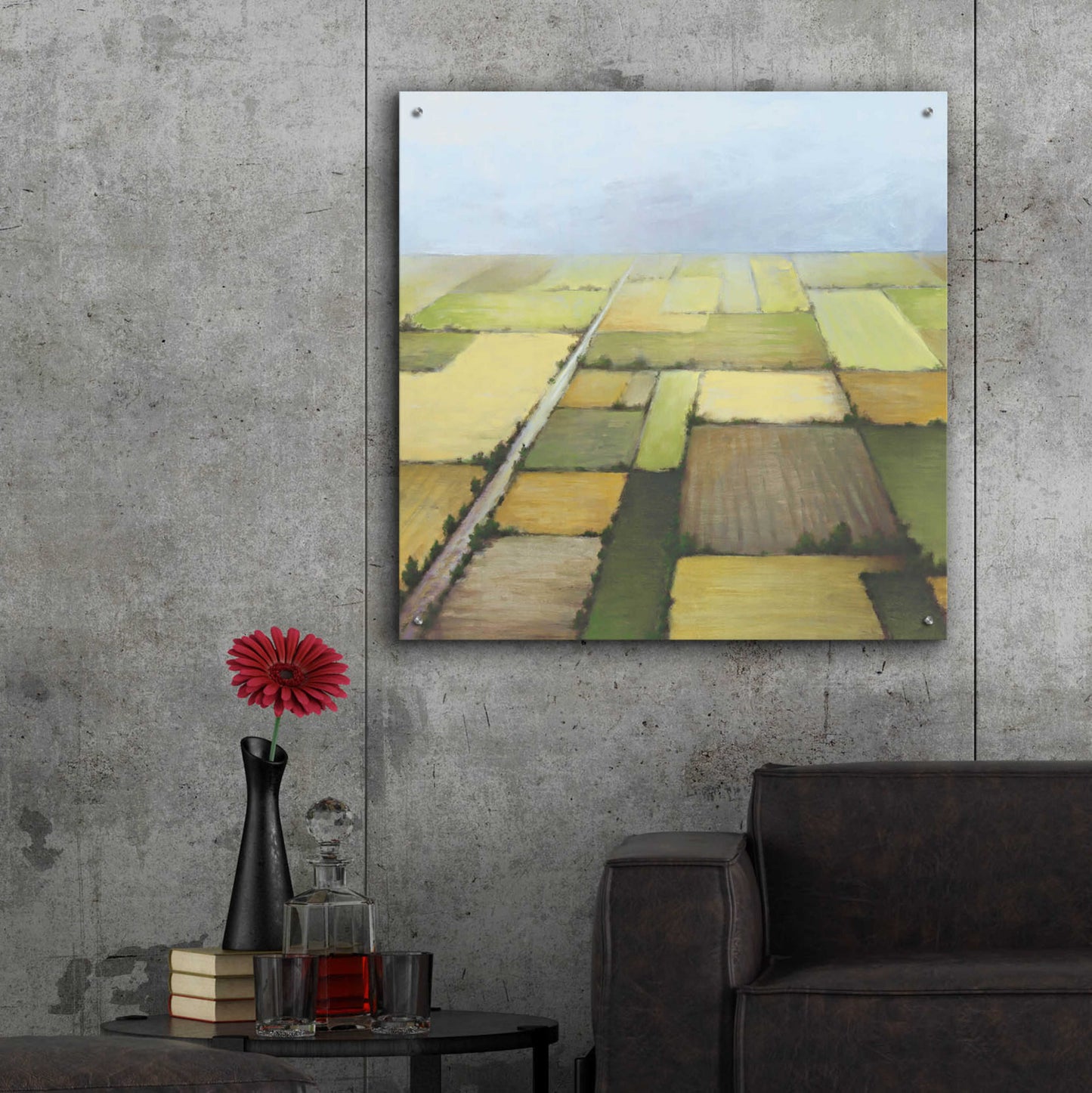 Epic Art 'Farmland From Above' by White Ladder, Acrylic Glass Wall Art,36x36