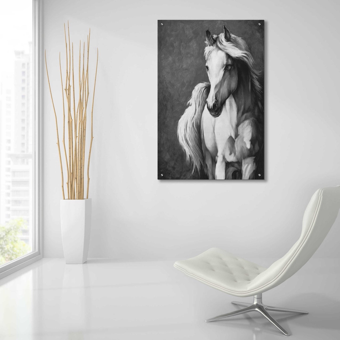 Epic Art 'White Horse' by White Ladder, Acrylic Glass Wall Art,24x36