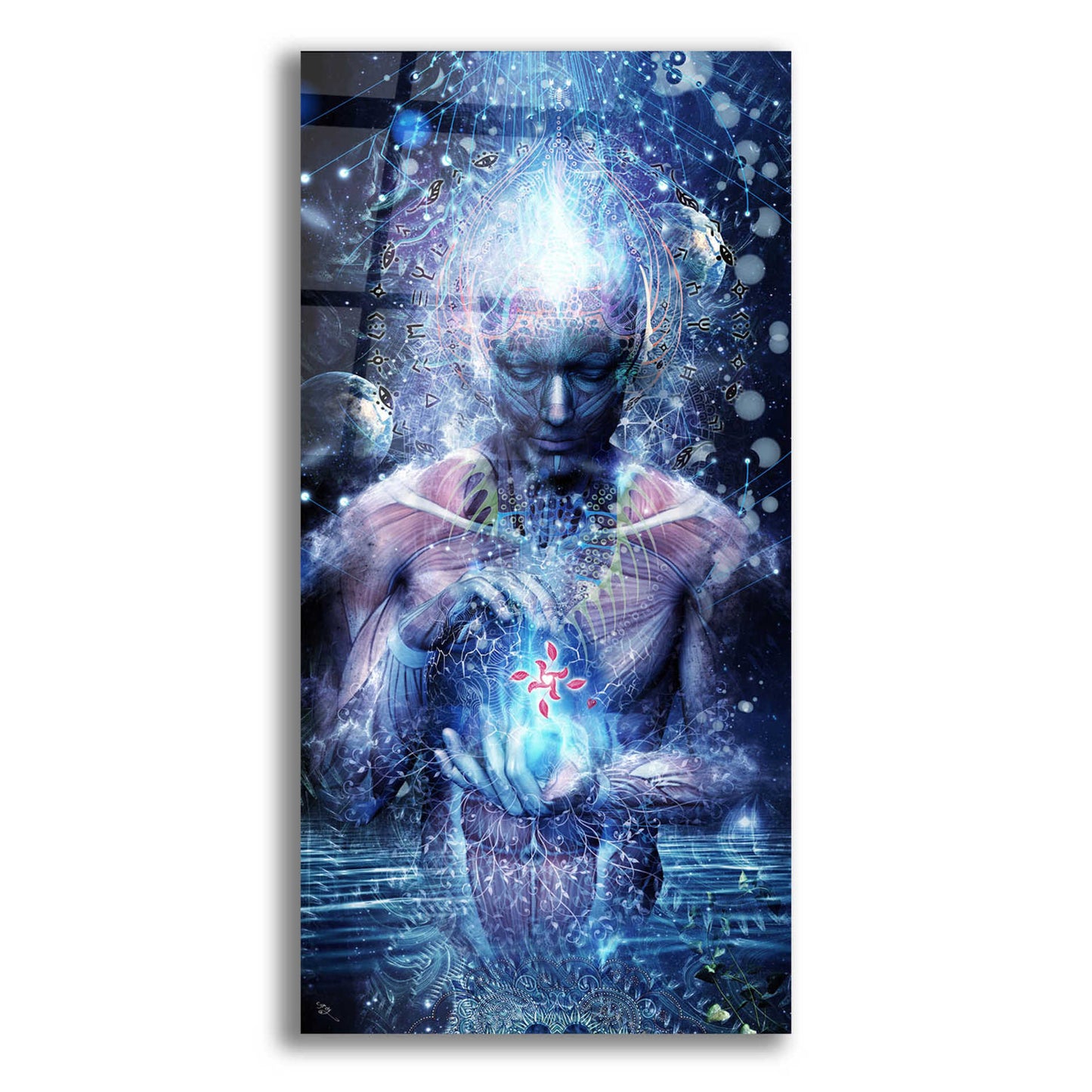 Epic Art 'Silence Seekers' by Cameron Gray, Acrylic Glass Wall Art,24x48