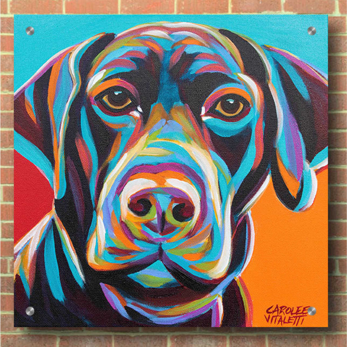 Epic Art 'Dog Friend II' by Carolee Vitaletti, Acrylic Glass Wall Art,36x36