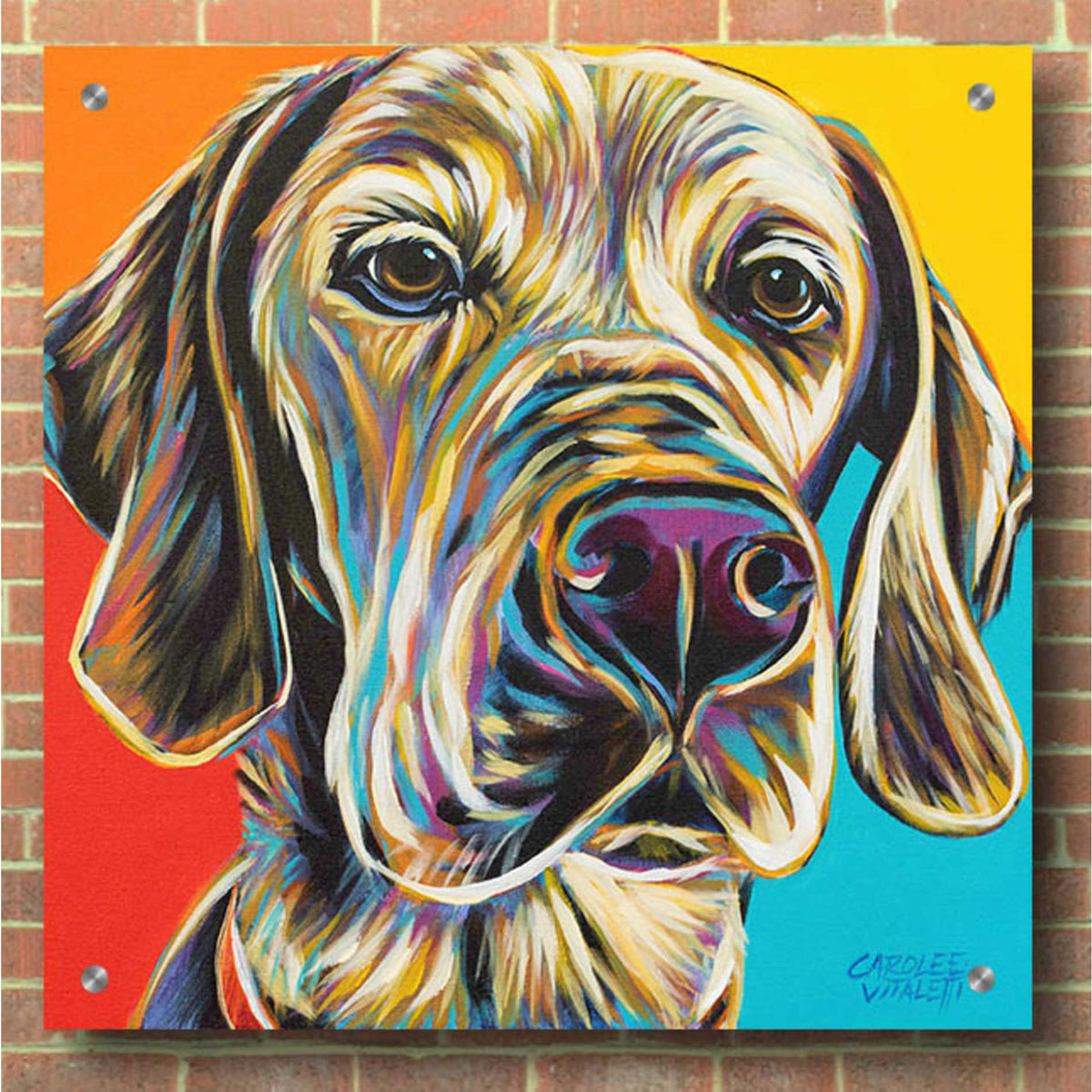Epic Art 'Canine Buddy II' by Carolee Vitaletti, Acrylic Glass Wall Art,36x36
