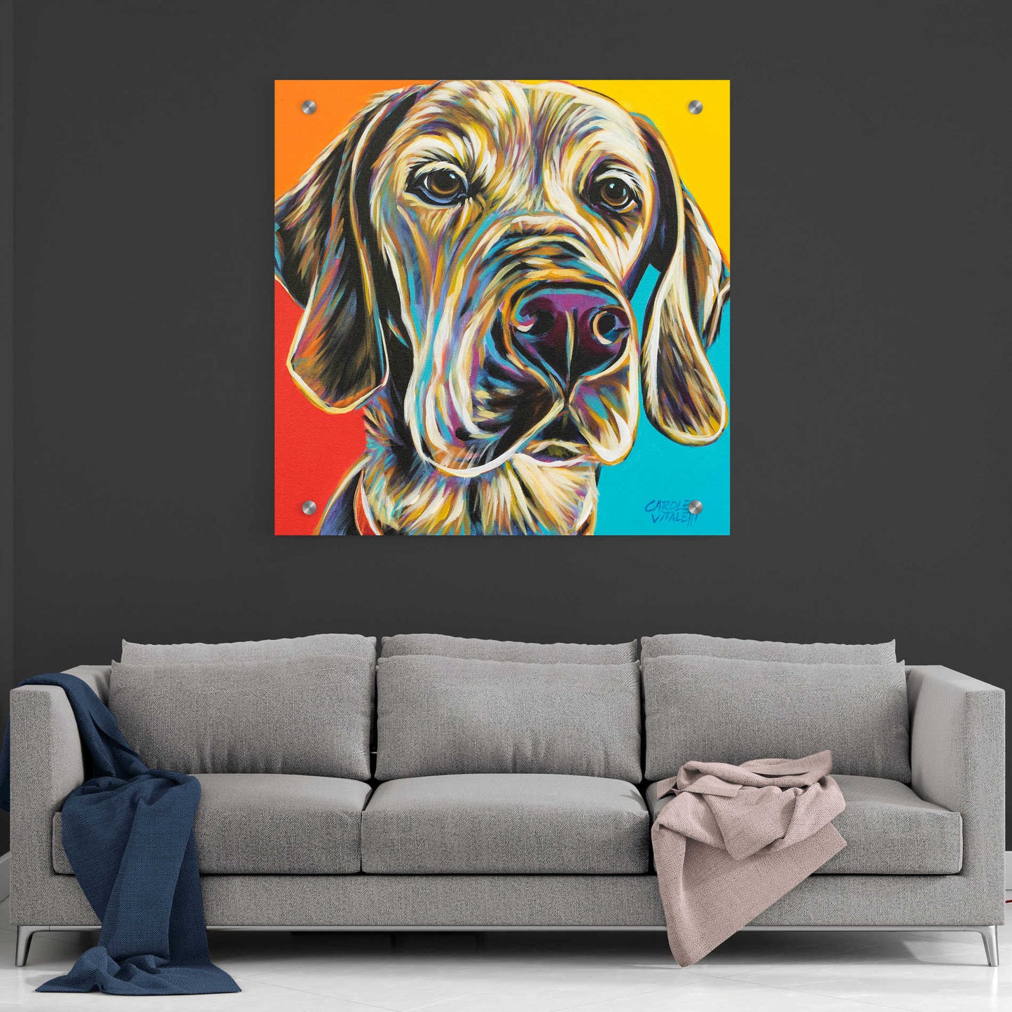 Epic Art 'Canine Buddy II' by Carolee Vitaletti, Acrylic Glass Wall Art,36x36