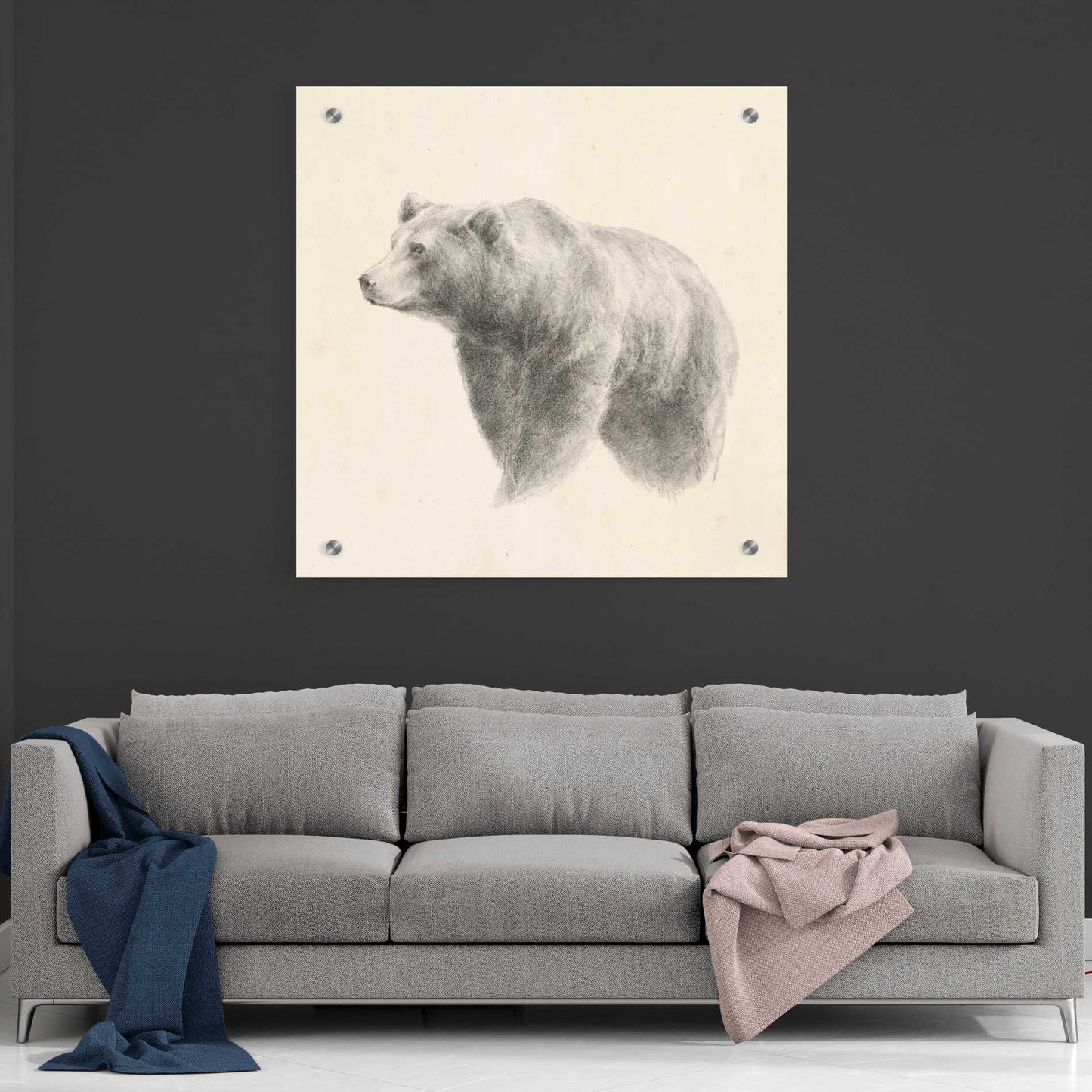 Epic Art 'Western Bear Study' by Ethan Harper, Acrylic Glass Wall Art,36x36