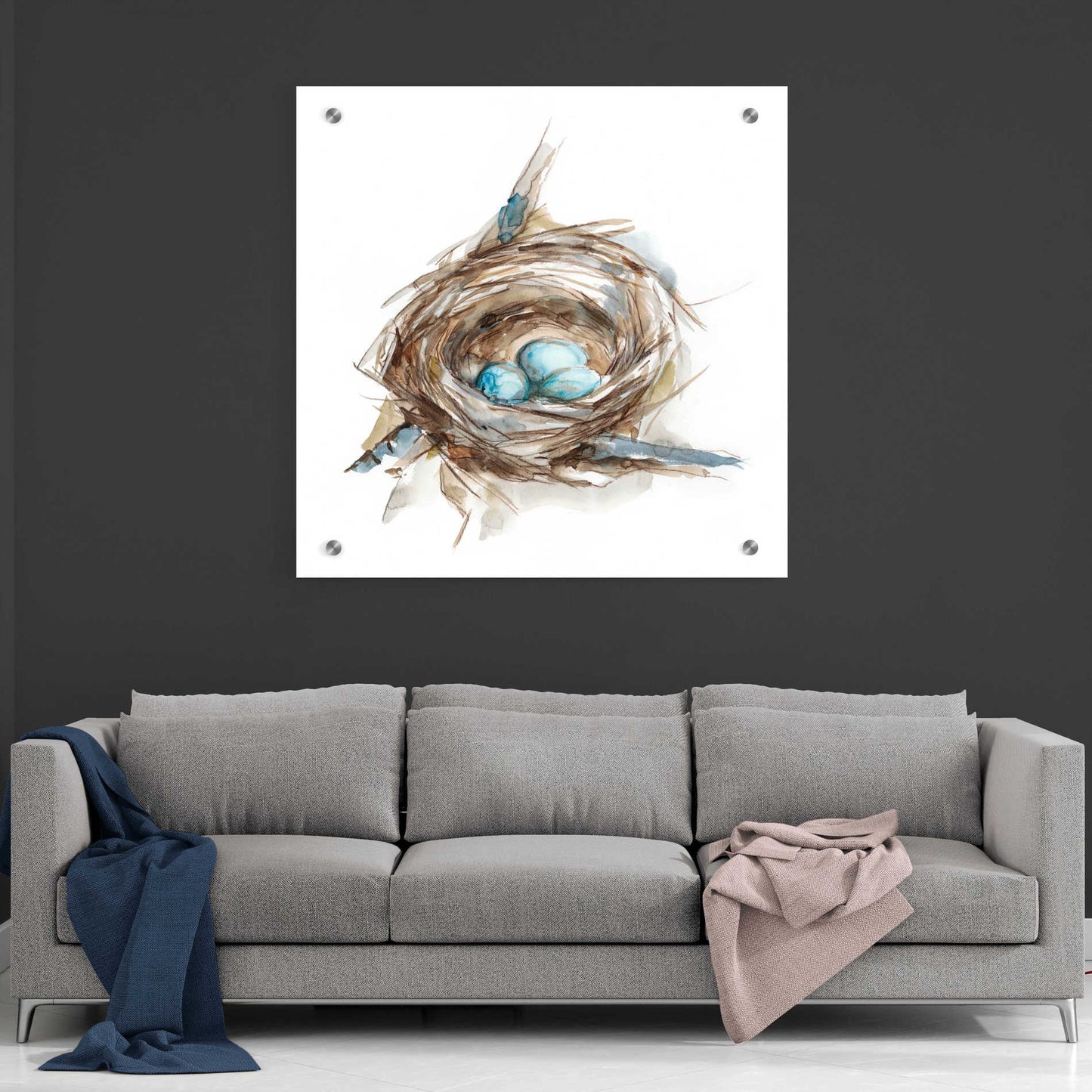 Epic Art 'Bird Nest Study II' by Ethan Harper, Acrylic Glass Wall Art,36x36