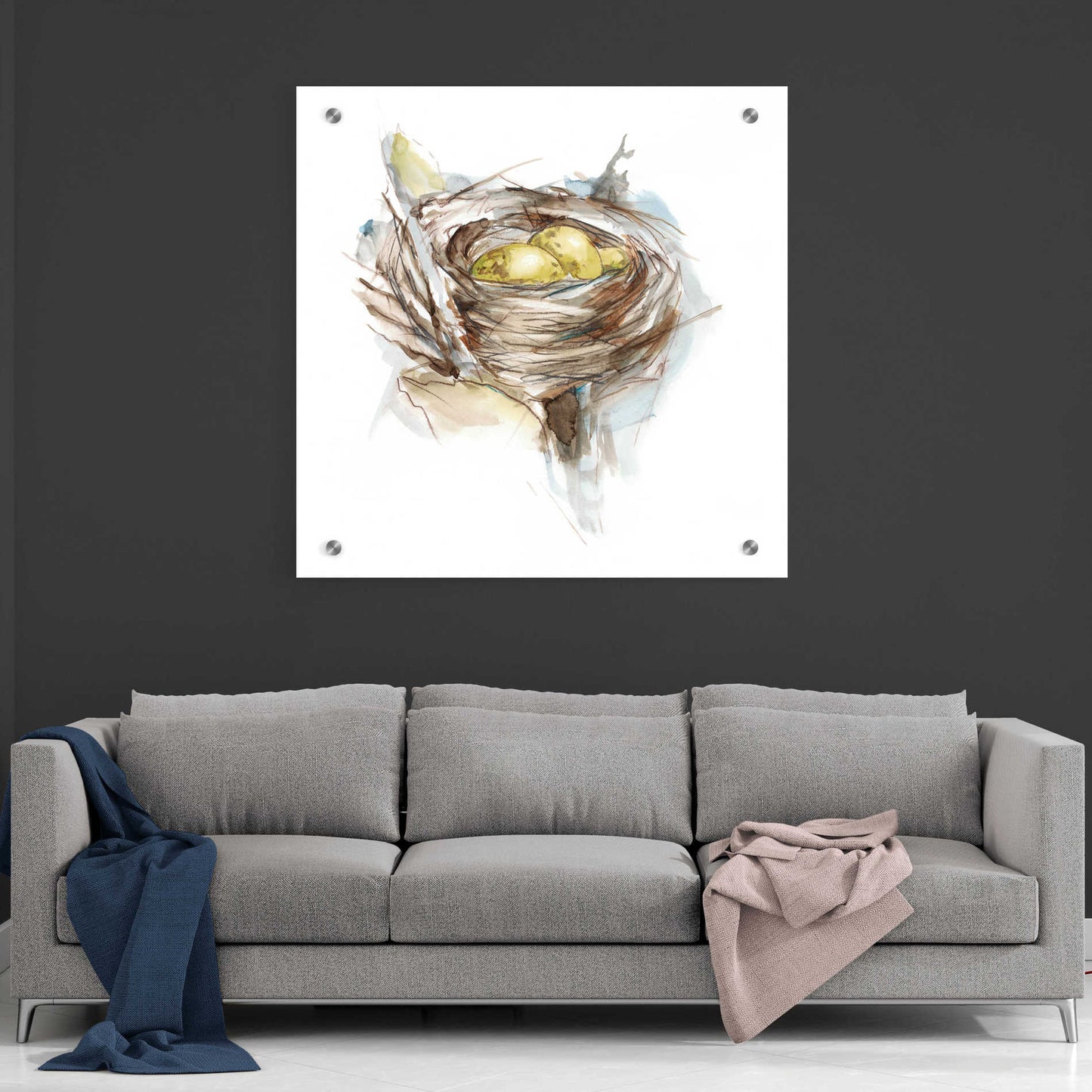 Epic Art 'Bird Nest Study III' by Ethan Harper, Acrylic Glass Wall Art,36x36