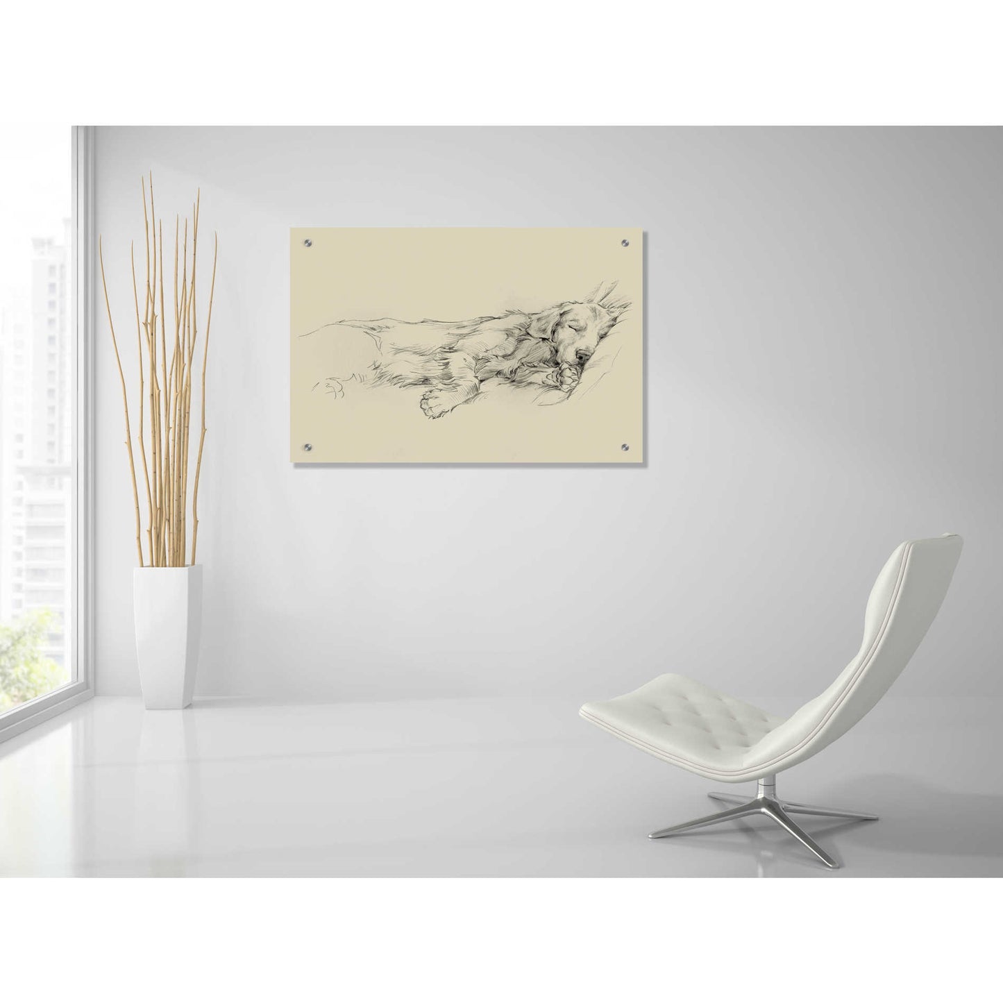 Epic Art 'Dog Days III' by Ethan Harper, Acrylic Glass Wall Art,36x24