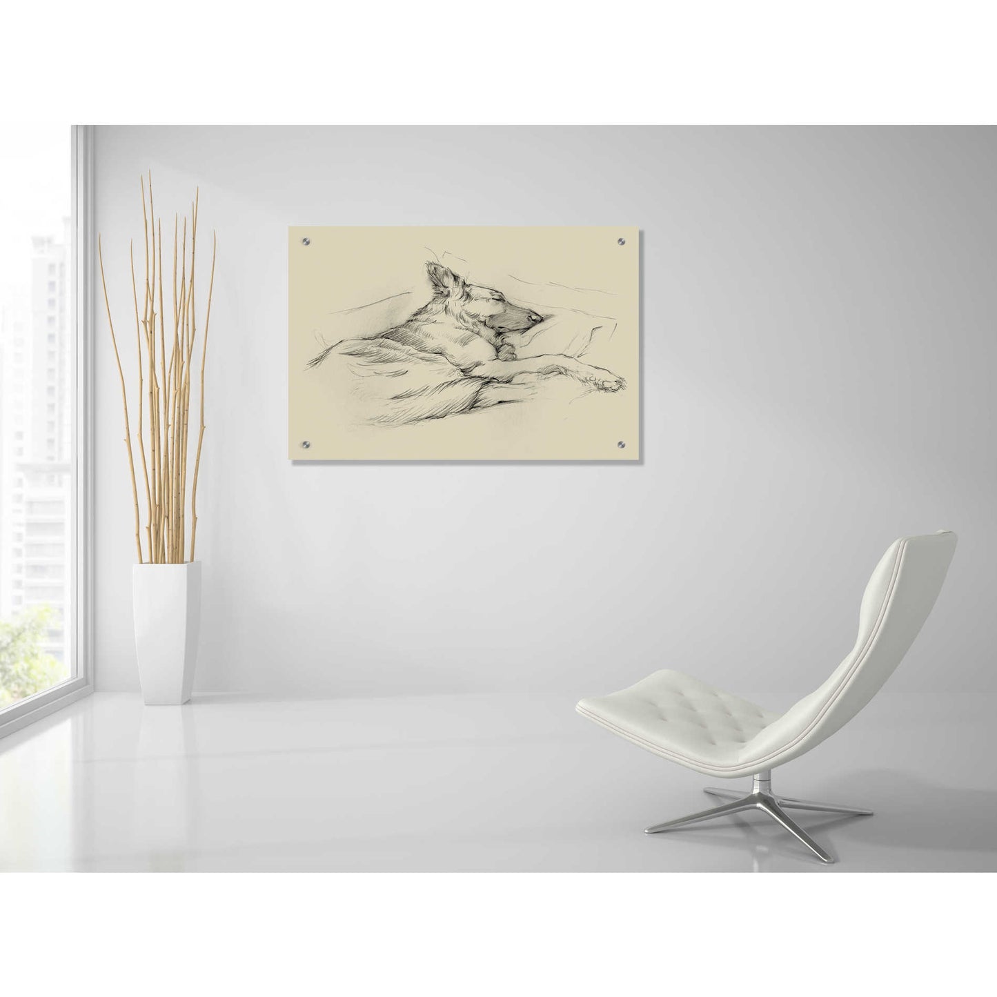 Epic Art 'Dog Days IV' by Ethan Harper, Acrylic Glass Wall Art,36x24