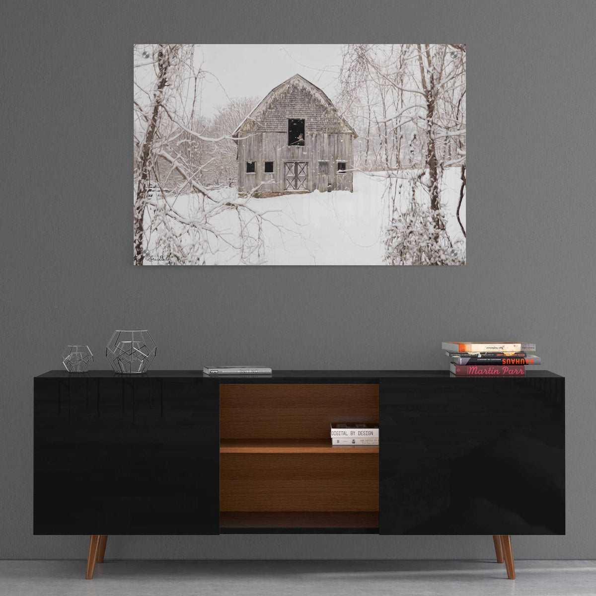 Epic Art 'The New Tenant' by Lori Deiter, Acrylic Glass Wall Art,36x24